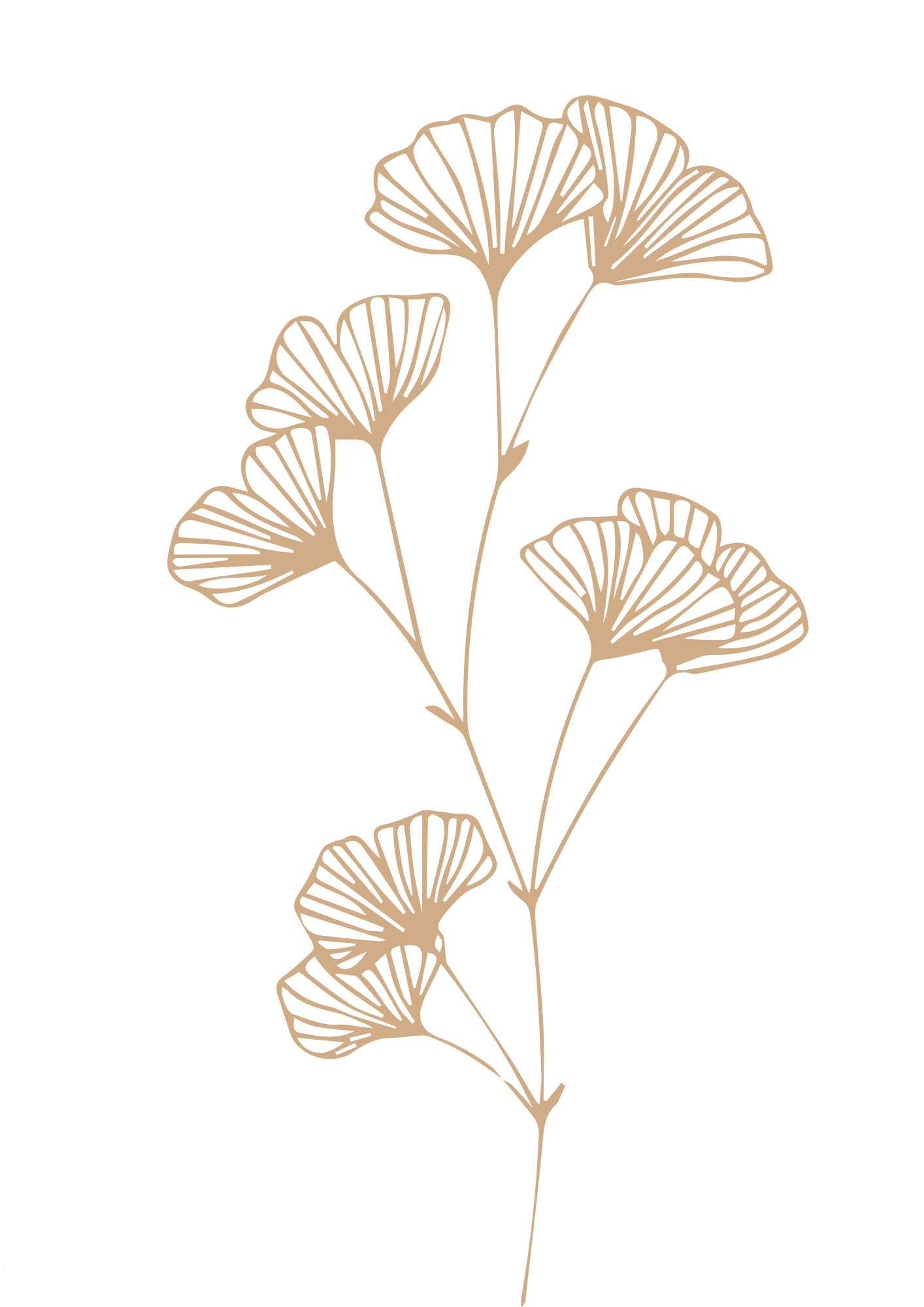 Illustration florale