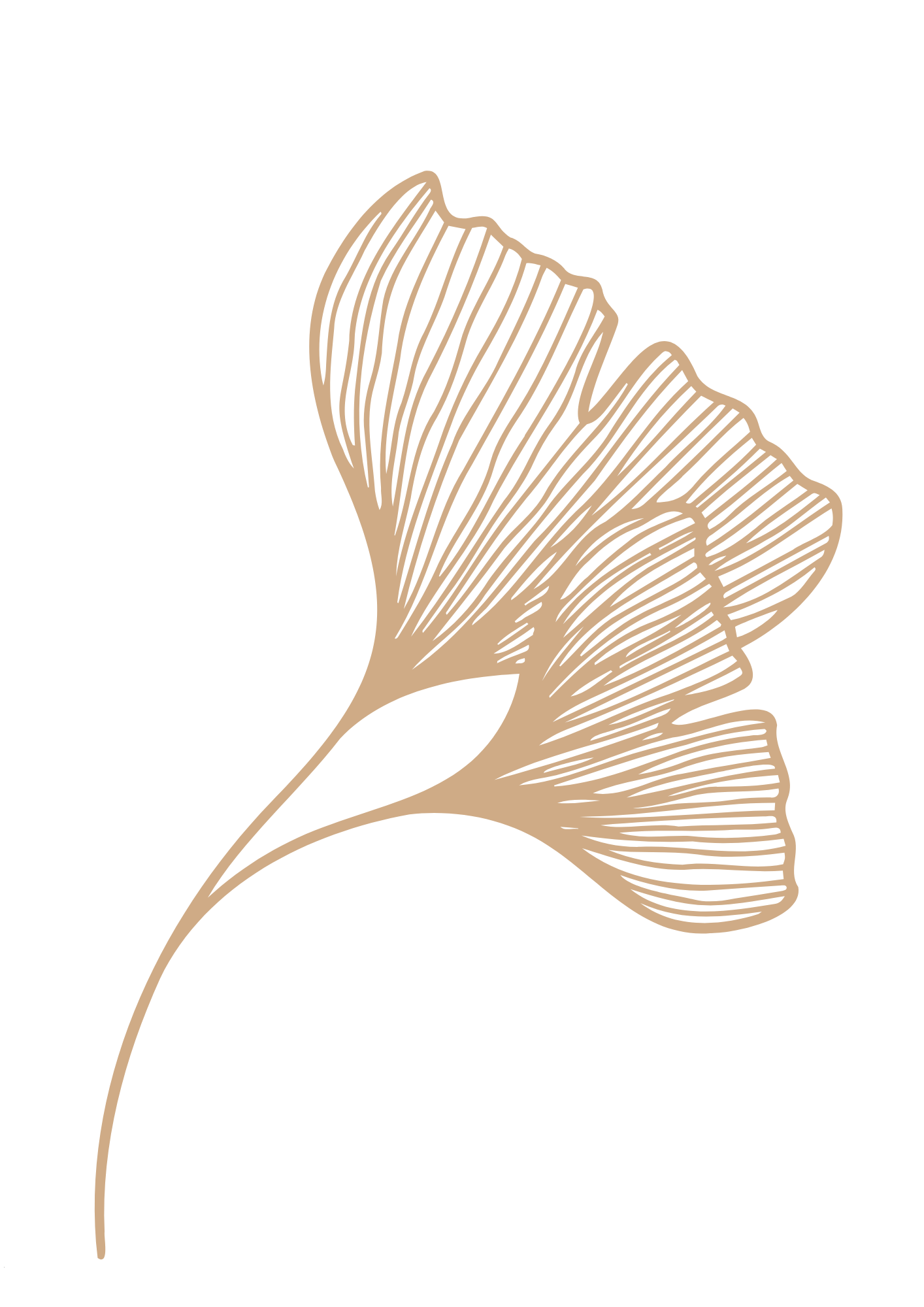 Illustration florale