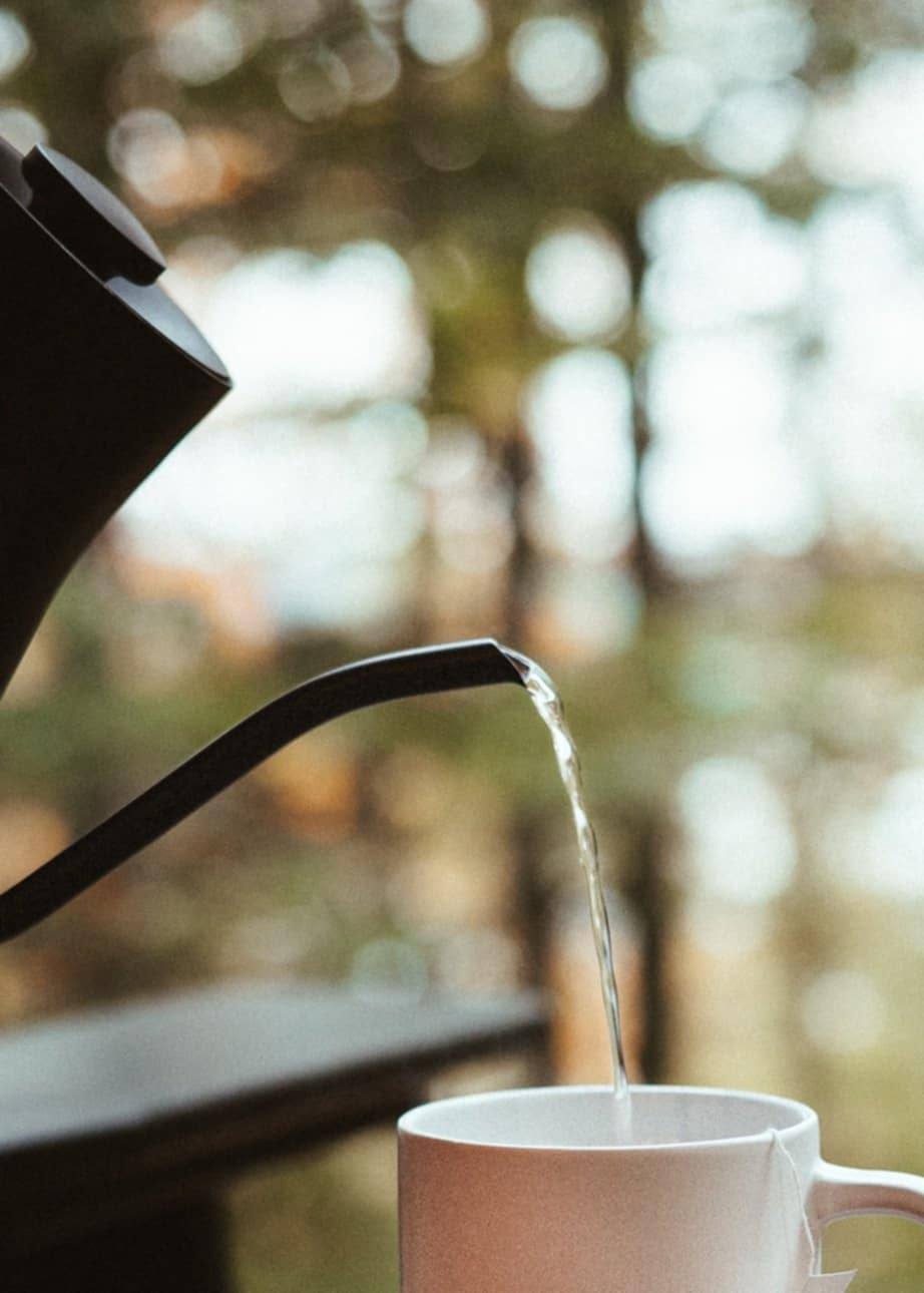 Hot water pours from a black kettle into a white ceramic mug against a blurred forest background.