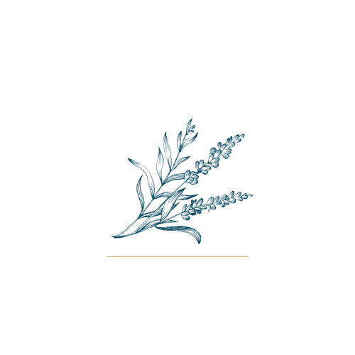 Simple hand-drawn botanical illustration of delicate blue flowering stems with leaves in a minimalist style.