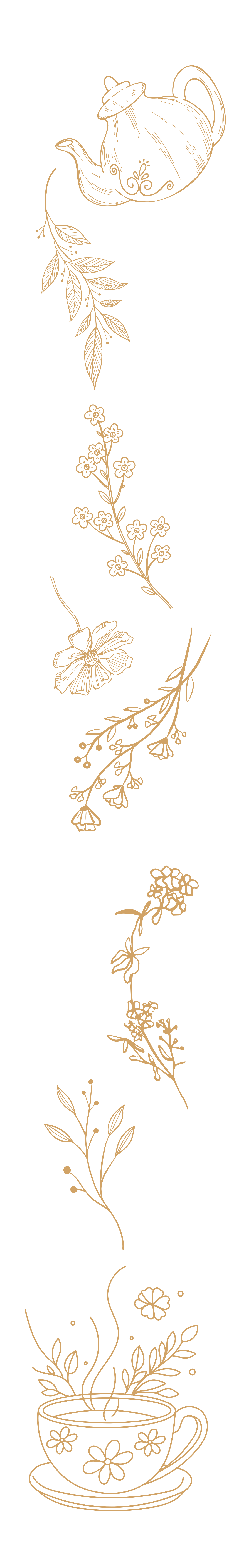 A delicate gold line illustration of a teapot pouring into a teacup with floral elements and botanical motifs in between.