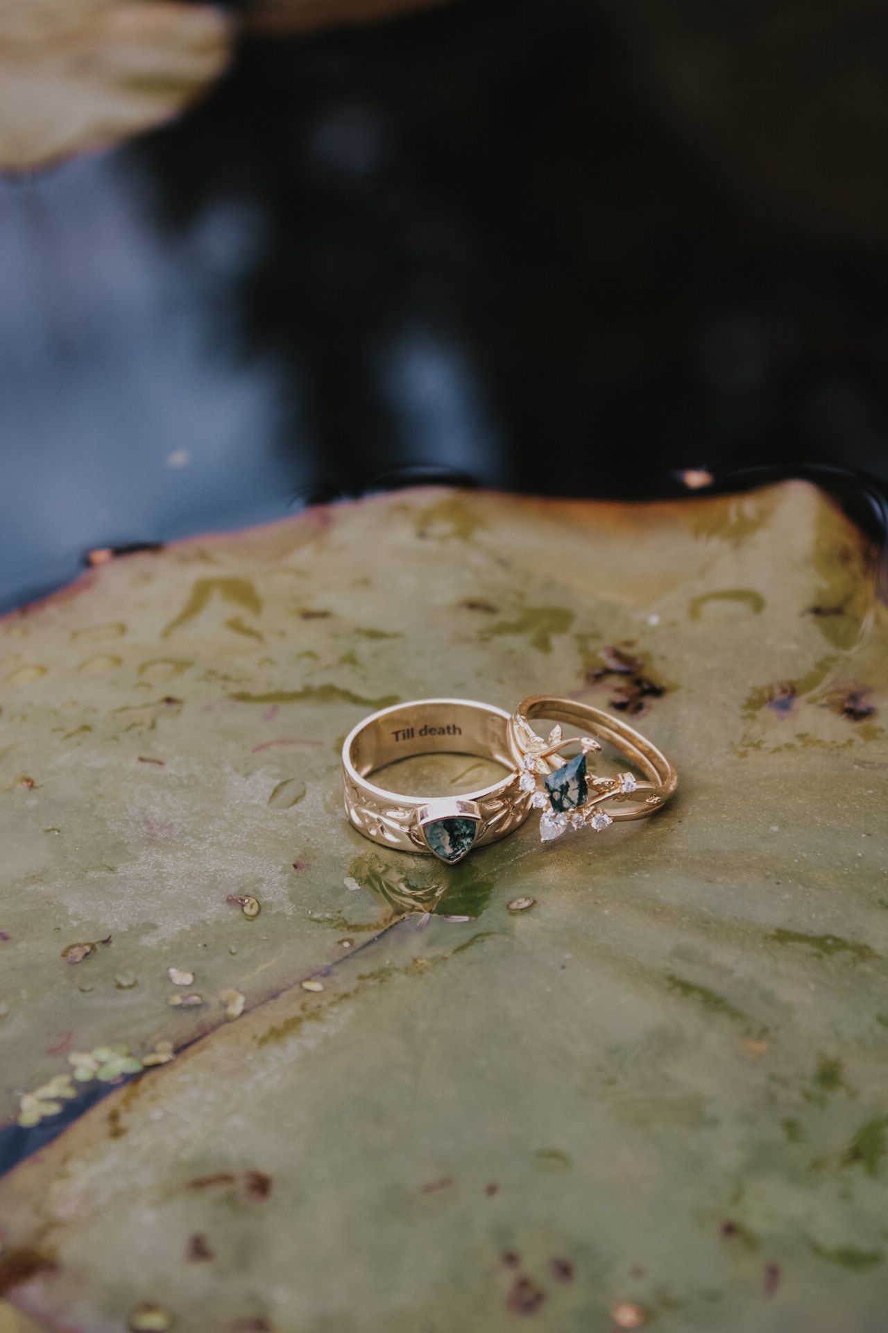 Two wedding rings resting on a textured leaf surface with natural lighting.