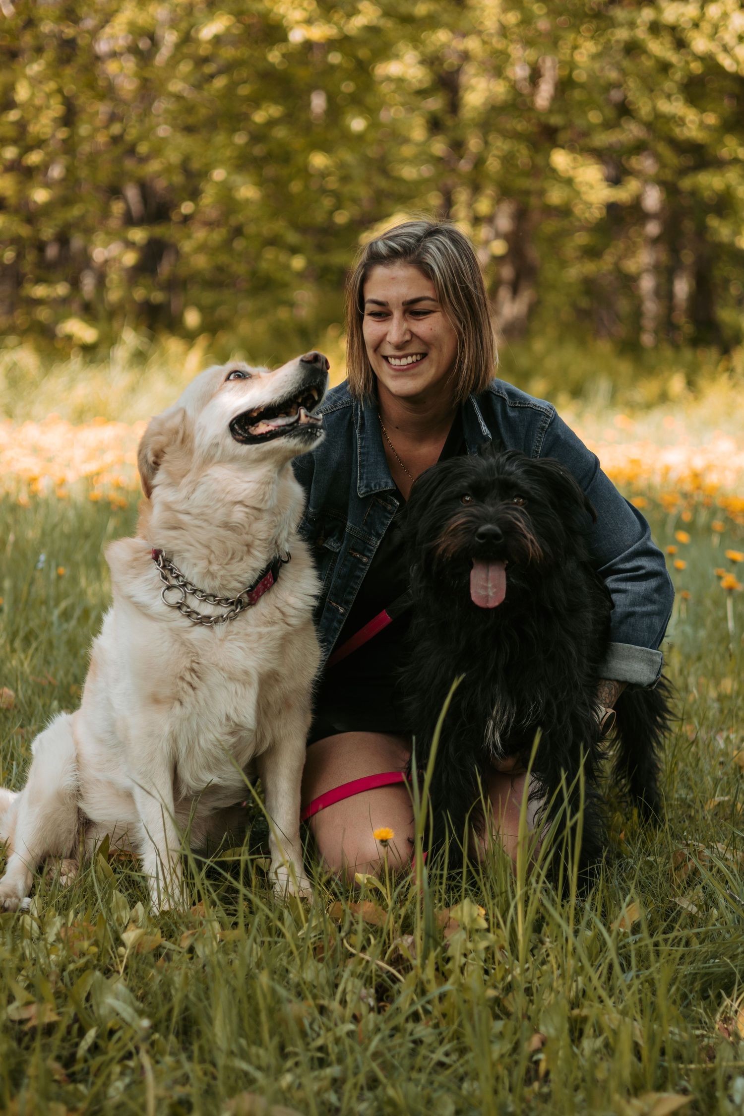 A person sitting in a grassy field with two dogs - a white retriever and a black fluffy dog enjoying nature together.