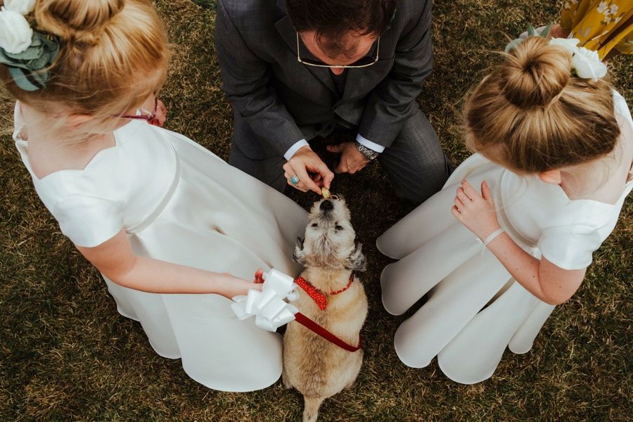 Overhead view of two people in white dresses petting a dog during outdoor wedding preparations.