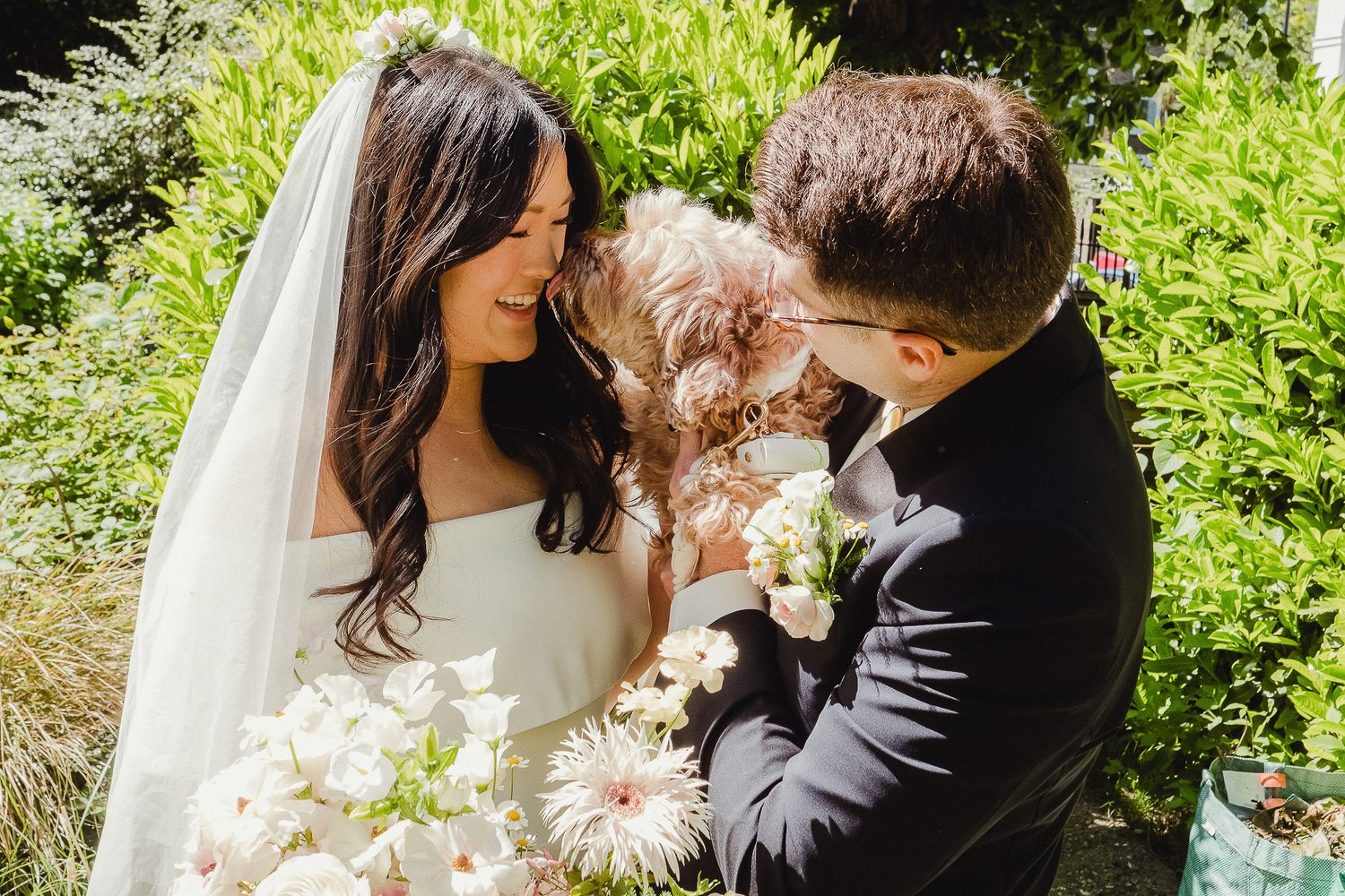 A bride and groom share a joyful moment with their small brown dog among lush greenery and white flowers on their wedding day.