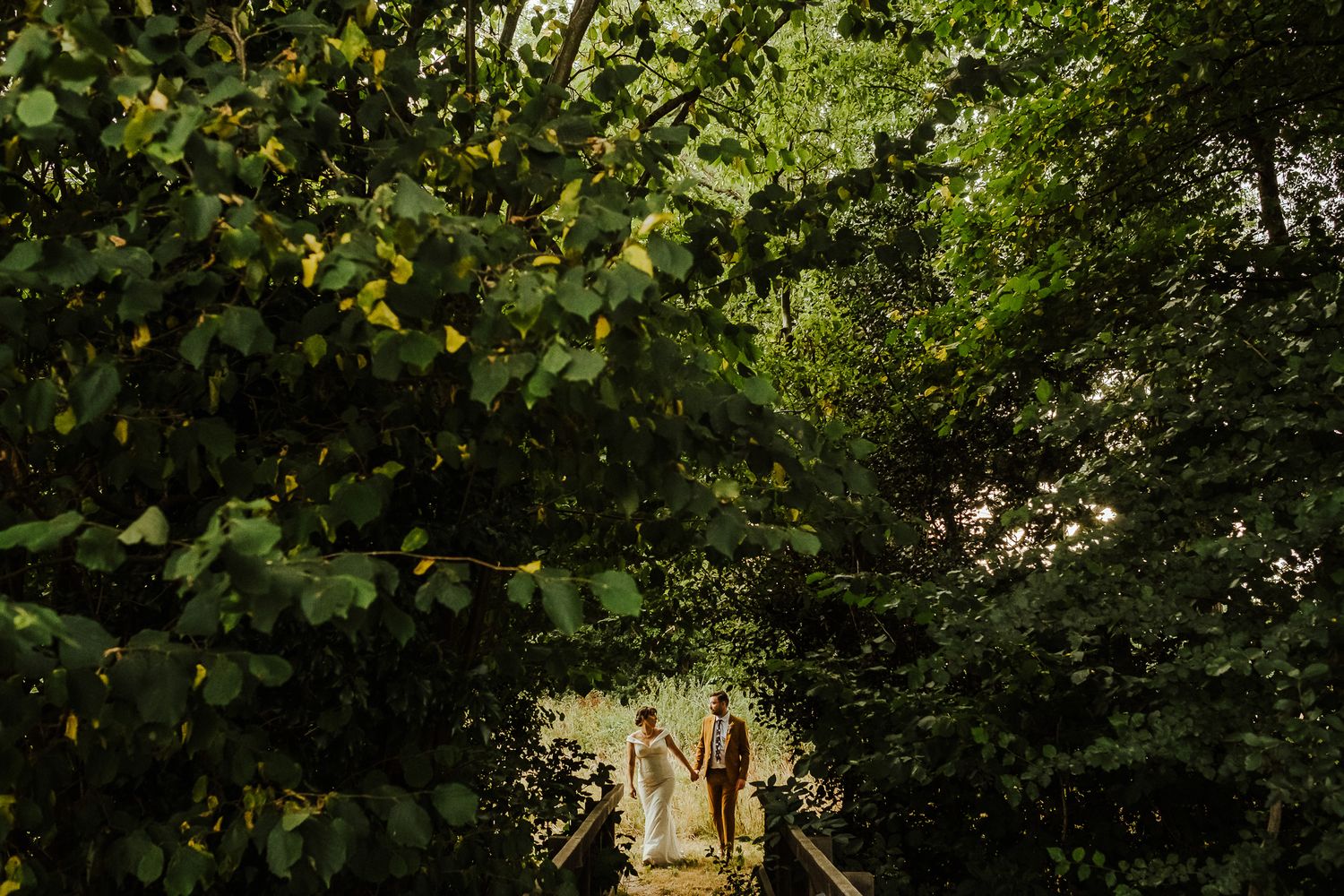 Lush green foliage and trees form a natural outdoor backdrop on a sunny day.