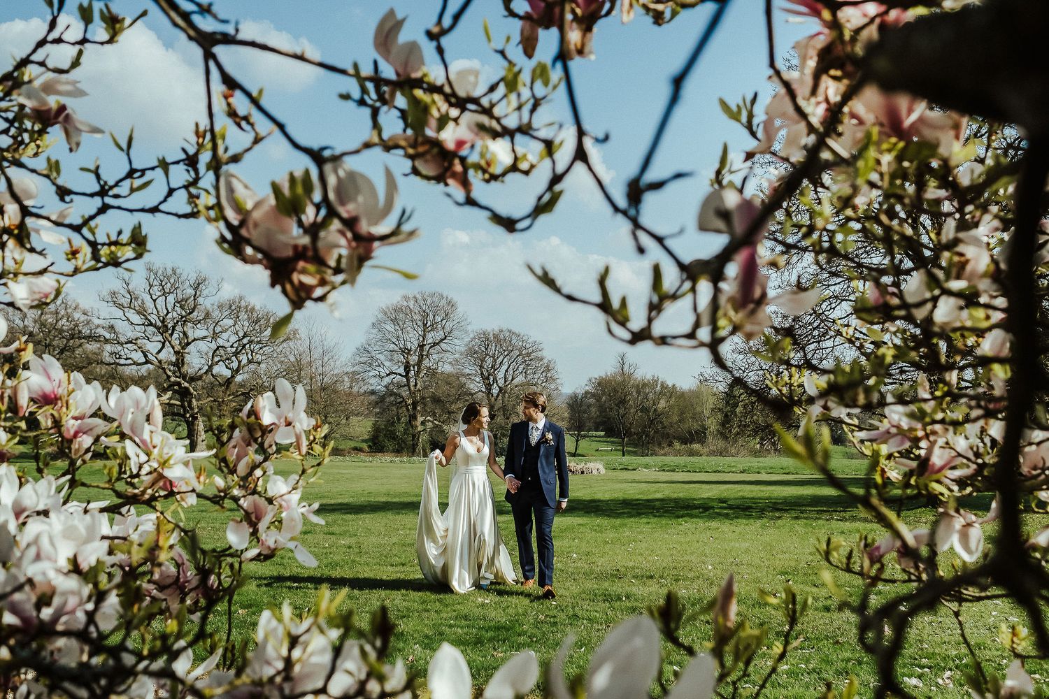Wedding scene framed by magnolia blossoms with couple walking in distant garden.