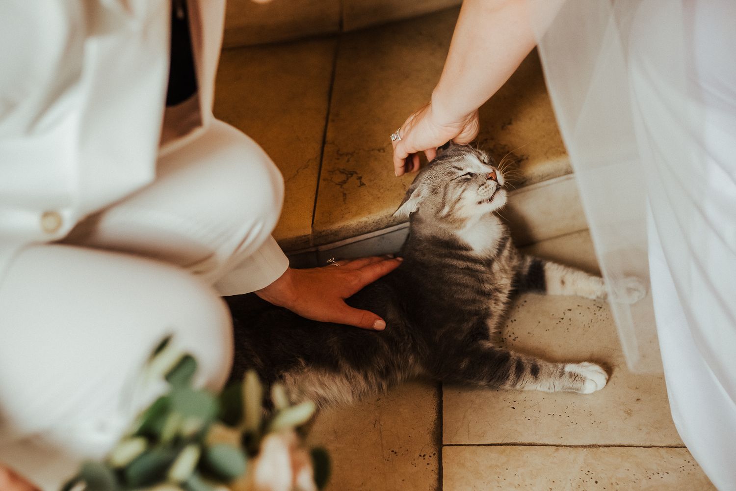 A playful moment with a cat during wedding preparations on a rustic wooden floor.