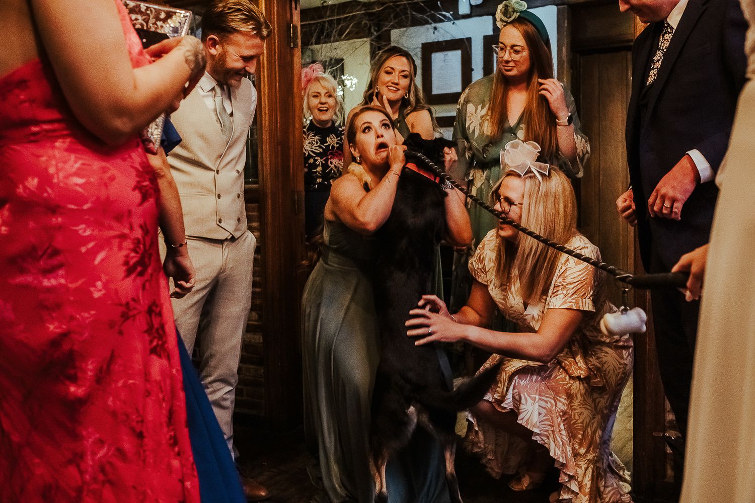 Wedding guests react with joy and laughter during indoor reception party.