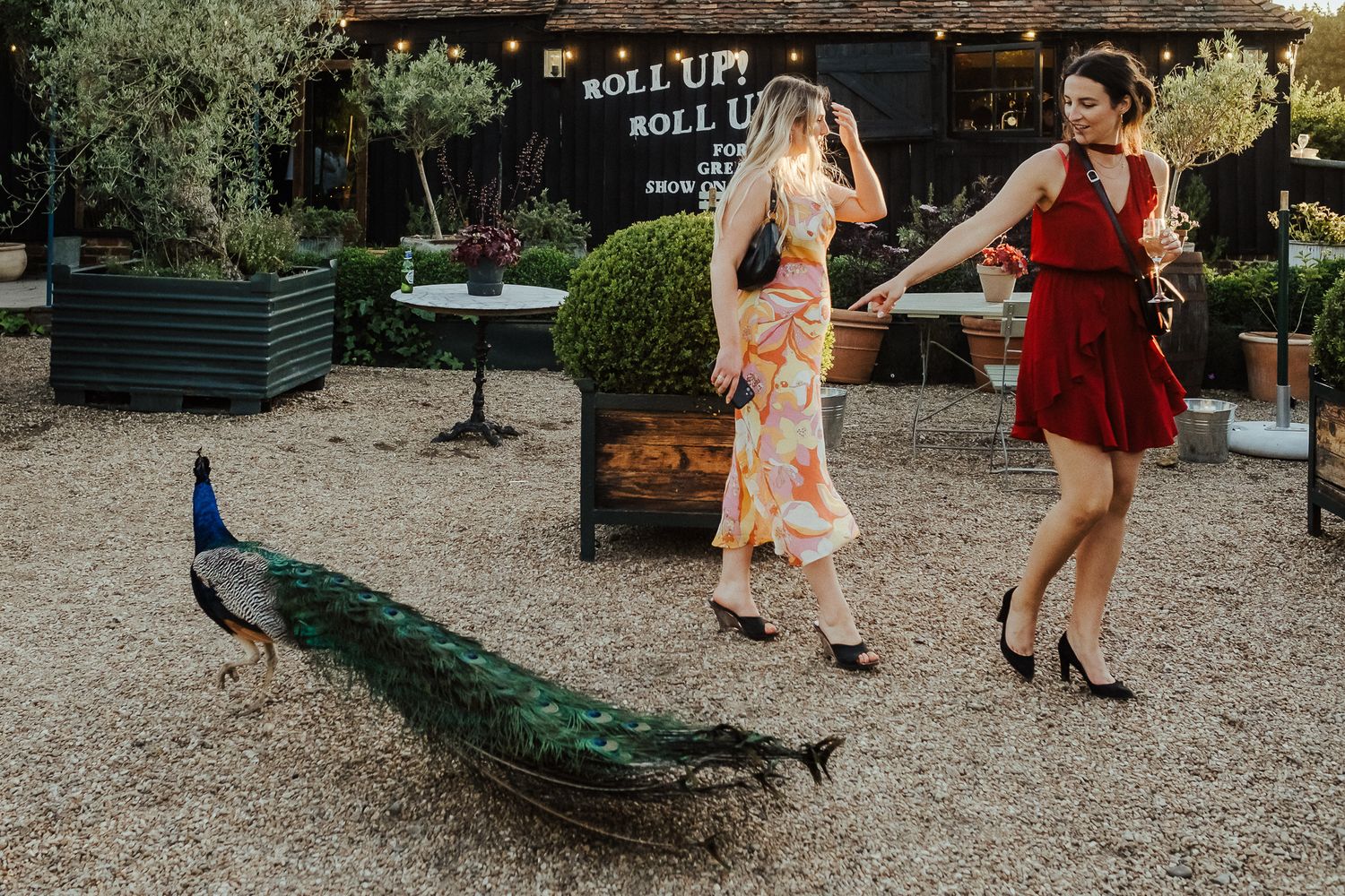 Wedding guests mingle and dance on a rustic gravel patio during an outdoor reception.