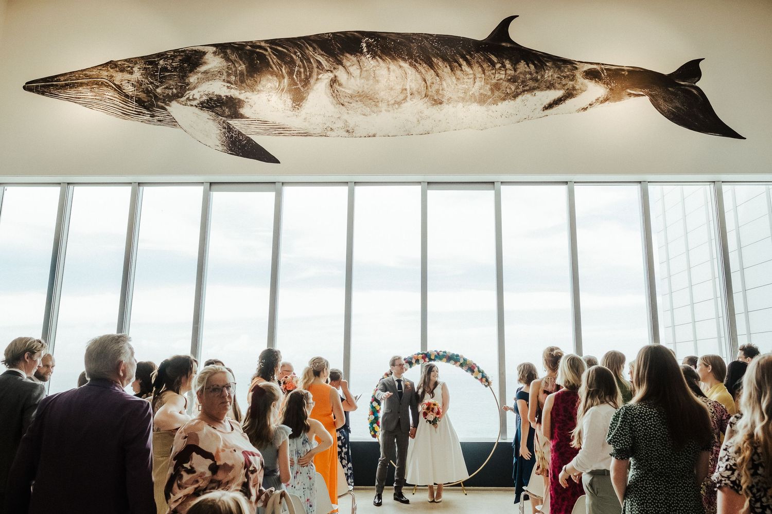 A large mounted shark specimen displayed above wedding guests in a modern venue with floor-to-ceiling windows.