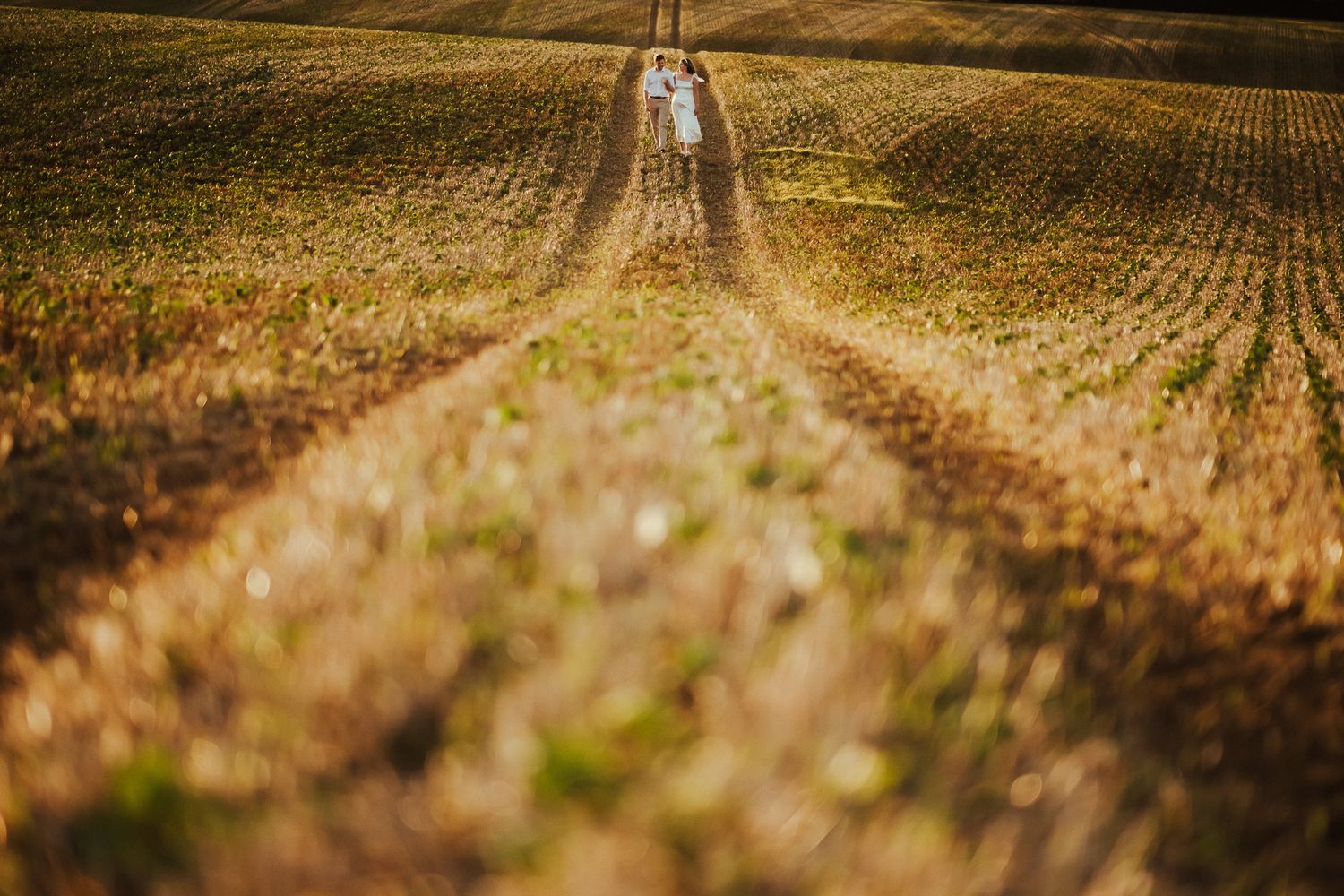 Golden sunset over harvested field with distant figures on rural path.