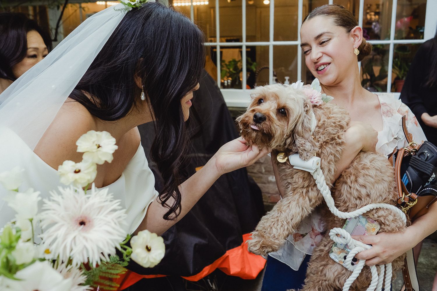 A bride in white holding a bouquet shares a moment with a small dog being held at a wedding celebration.