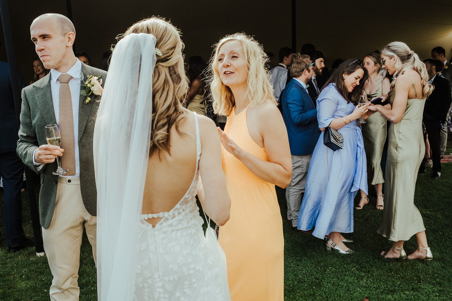 Wedding guests mingle on lawn during outdoor reception.