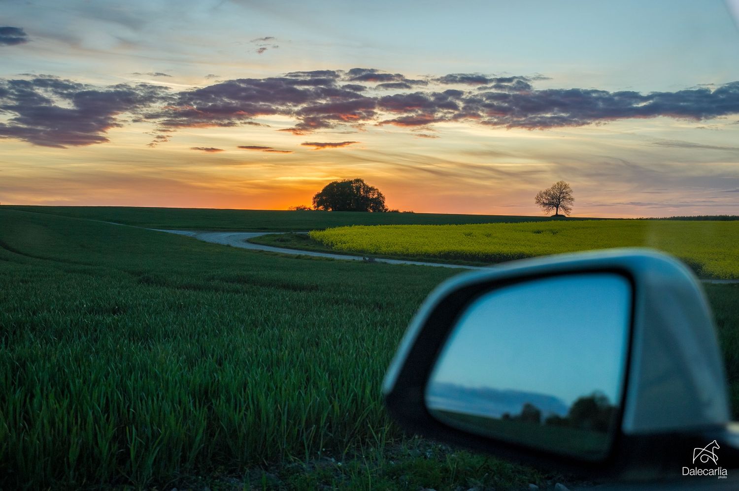Sunset illuminates rolling farmland with green fields while viewed through a car side mirror during golden hour.