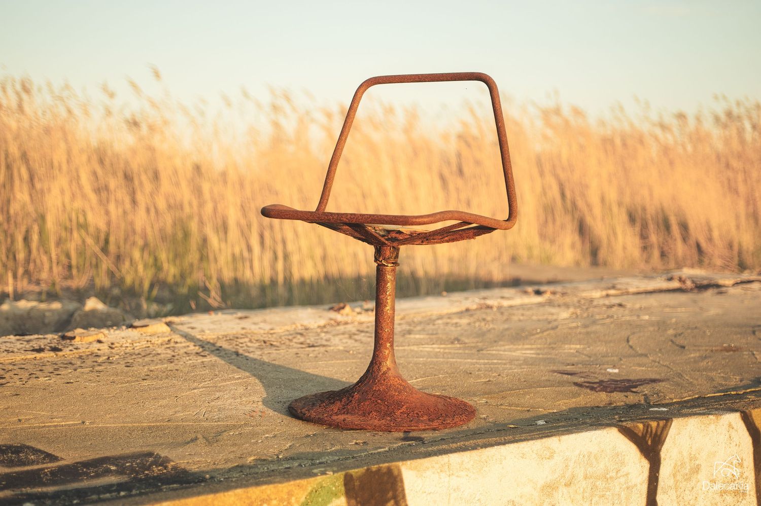 A rustic bar stool silhouetted against golden wheat fields during sunset, creating a vintage outdoor scene.