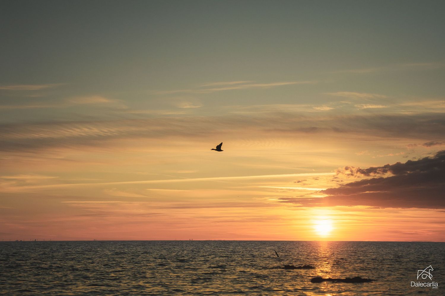 A lone bird silhouetted against an orange sunset sky over calm ocean waters.