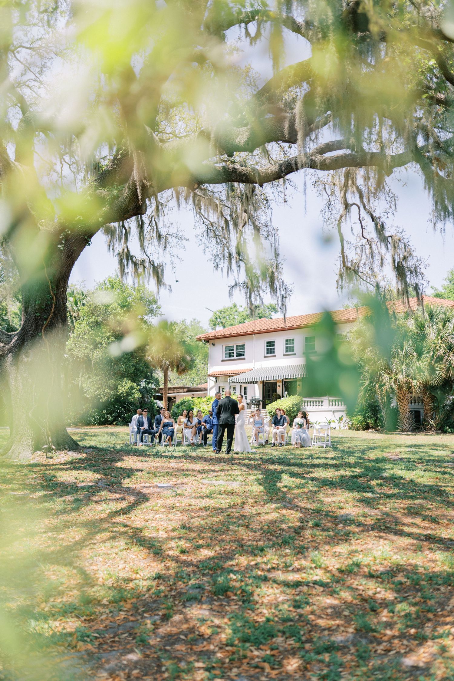 Group gathering on a lawn beneath Spanish moss-draped trees in front of a white Southern-style house on a sunny day.