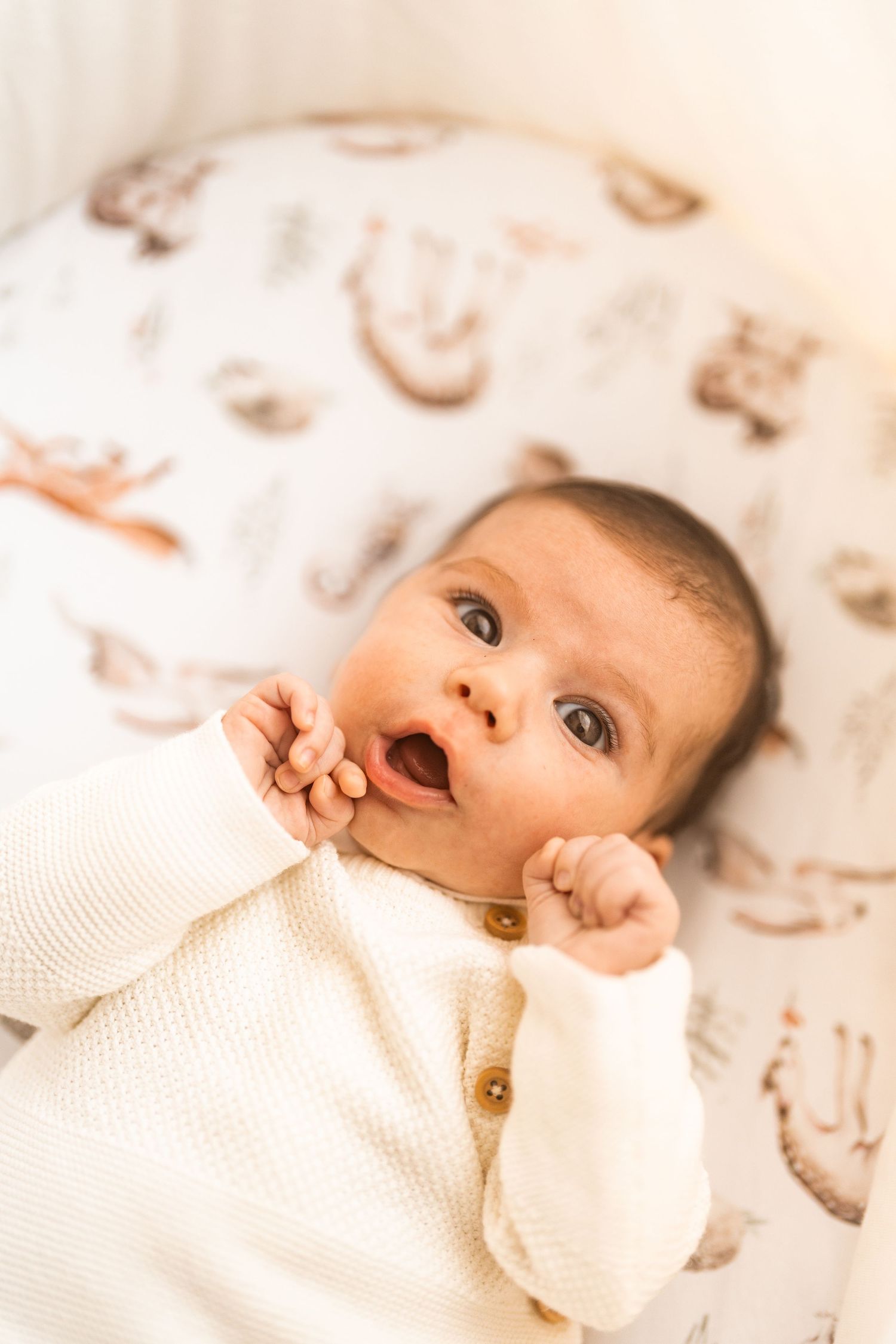 photo séance photo photographe naissance grossesse souvenirs shooting photo en famille