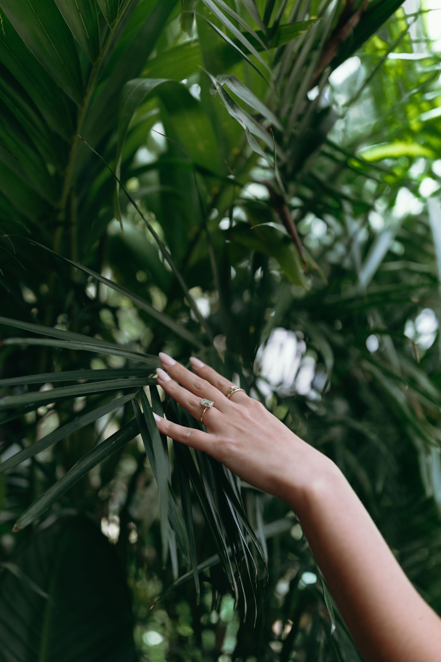 A hand wearing an engagement ring touches tropical palm leaves in soft natural light.