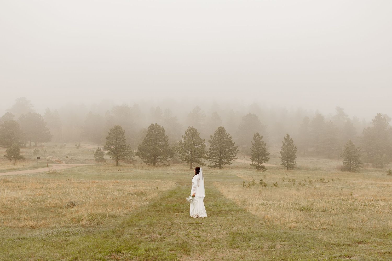 A person in a white dress stands alone in a misty field surrounded by evergreen trees on a foggy morning.