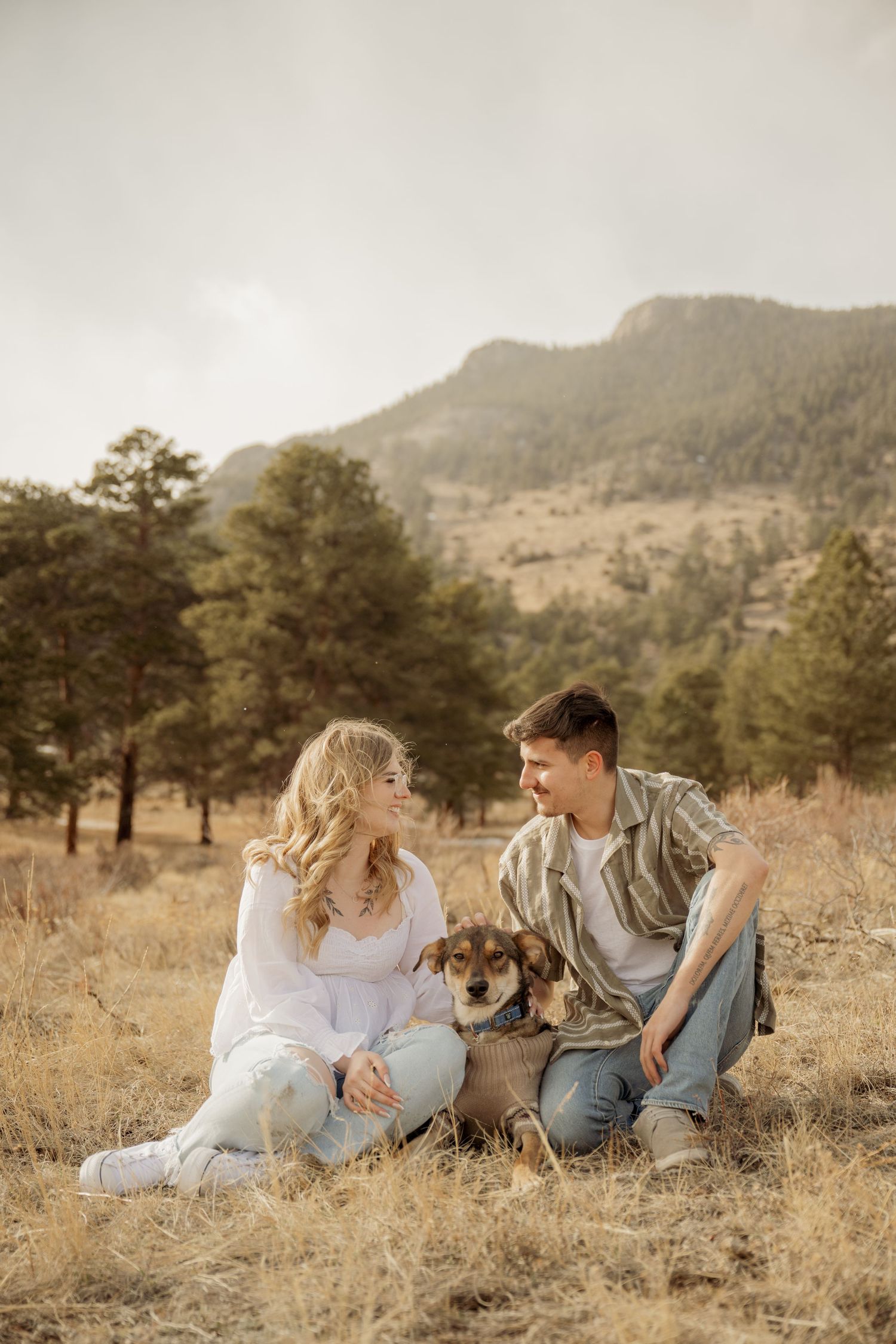 A couple sits in a golden field with their dog as mountains and pine trees create a dreamy backdrop at sunset.