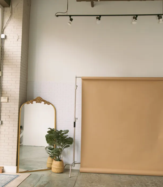Studio space with ornate mirror, potted plant, and peach backdrop.