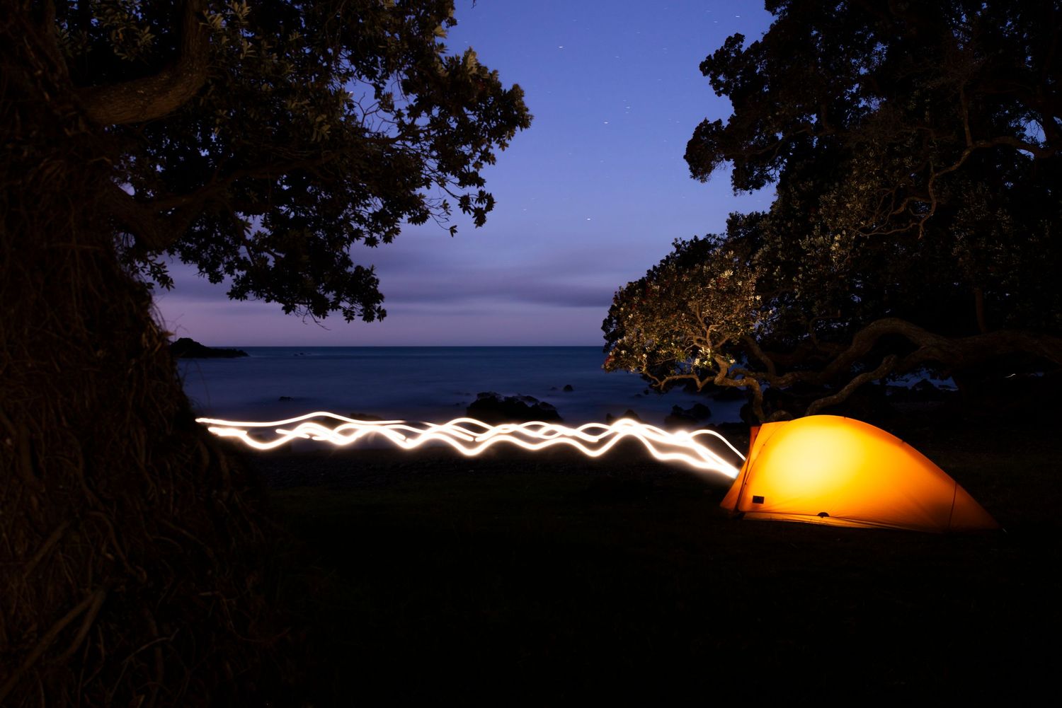 Long exposure light painting creates glowing trails against a dark forest backdrop.
