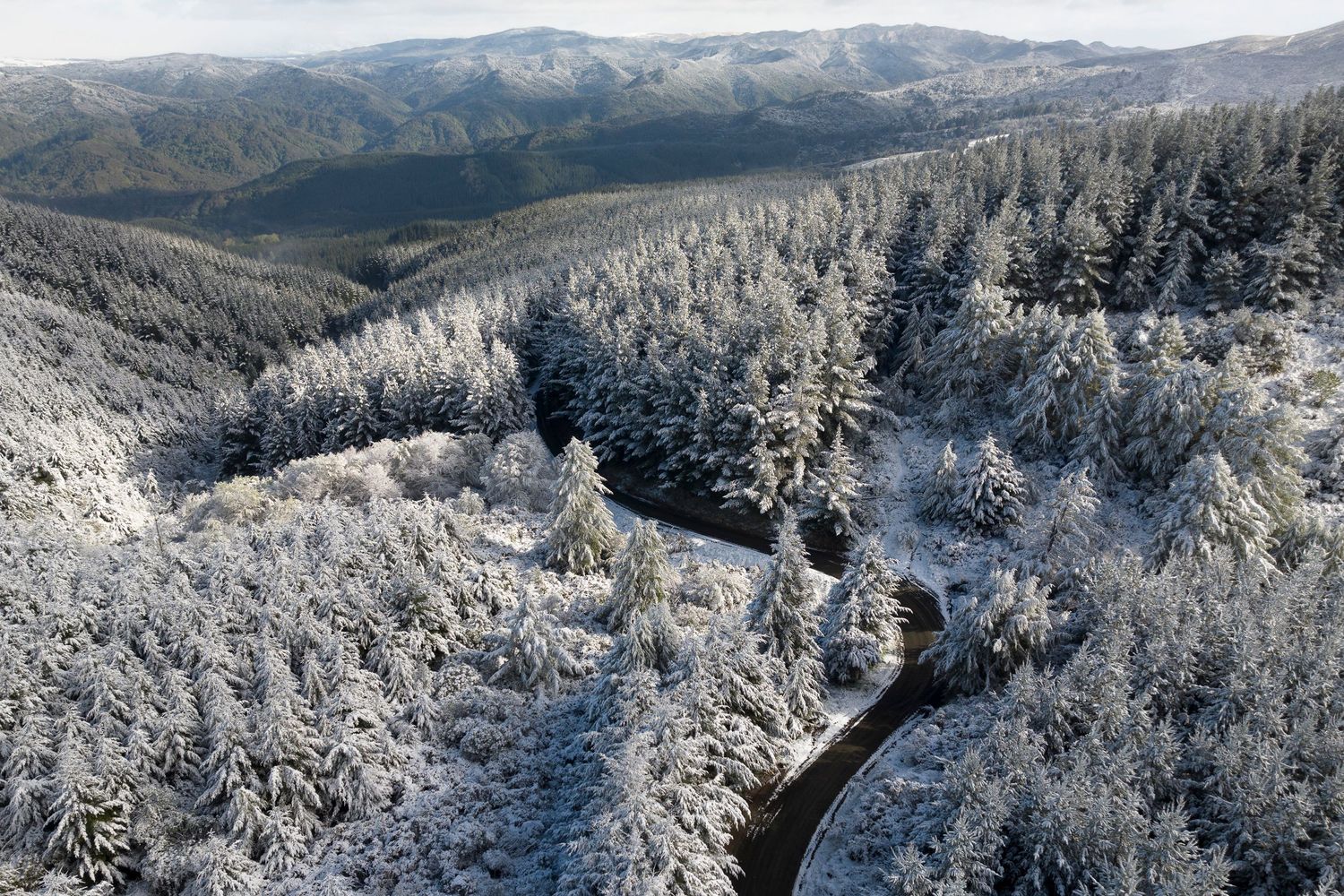 Snow-covered forest landscape with a winding river cutting through mountains in winter.
