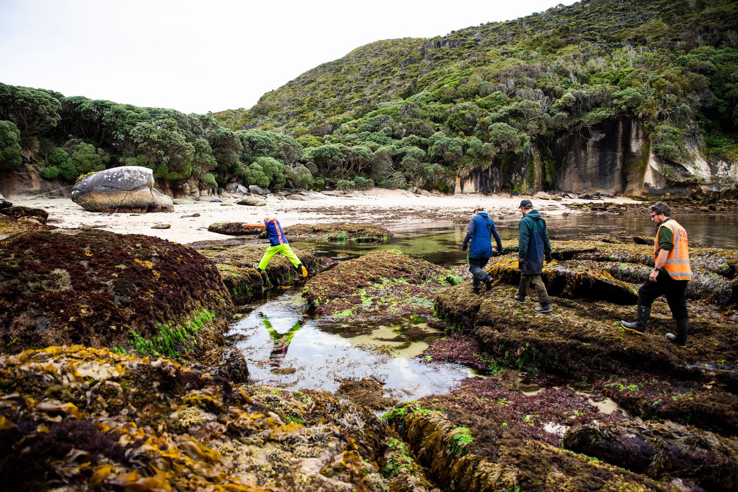 Scientists and Doc workers exploring rocky coastal terrain with dramatic cliffs and ocean views.