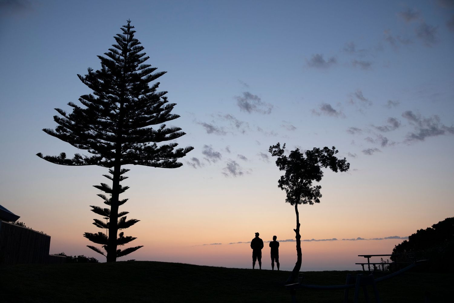 Silhouettes of trees and people against a dramatic sunset sky.