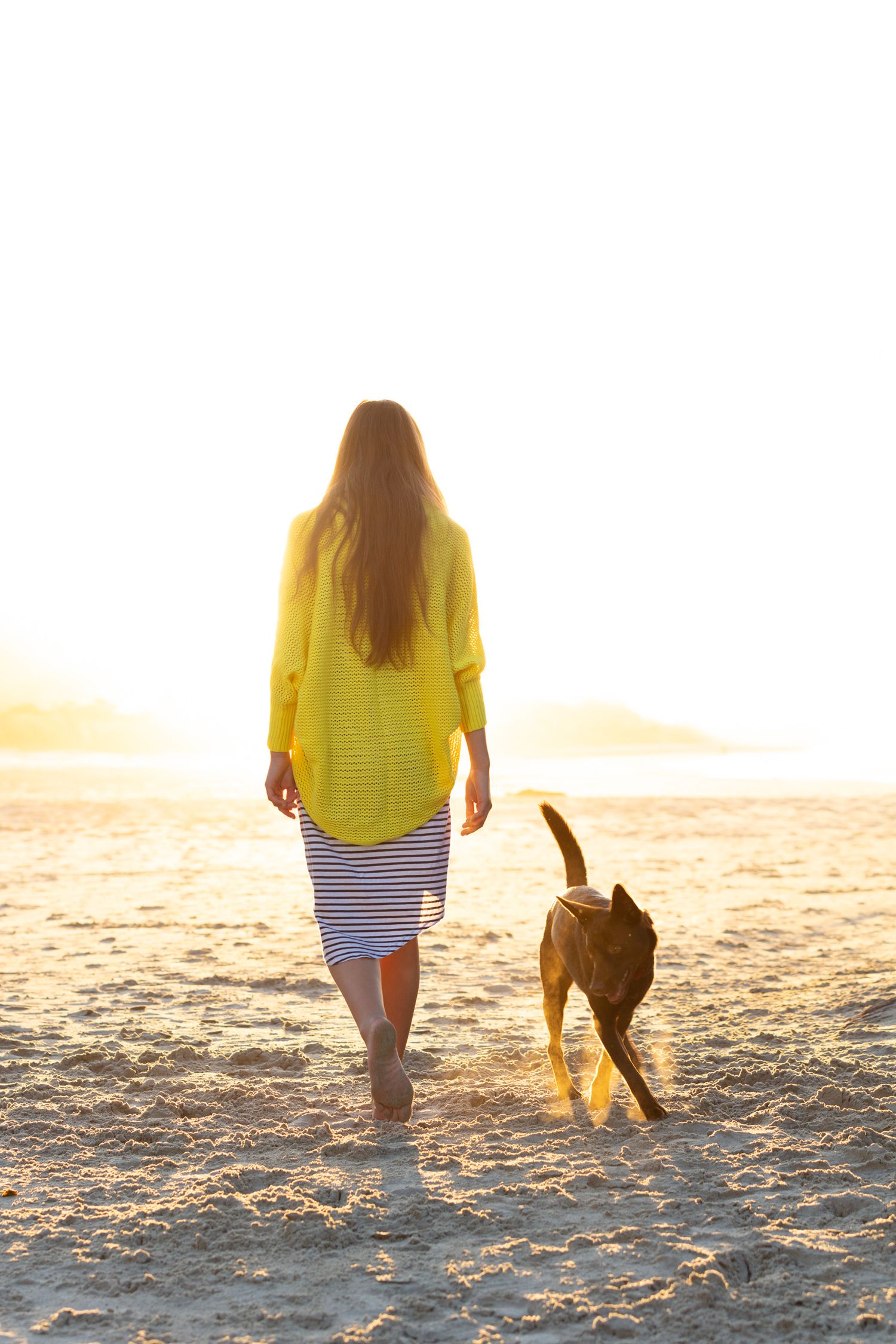 Person in yellow shirt walking with dog on sandy beach during golden hour.