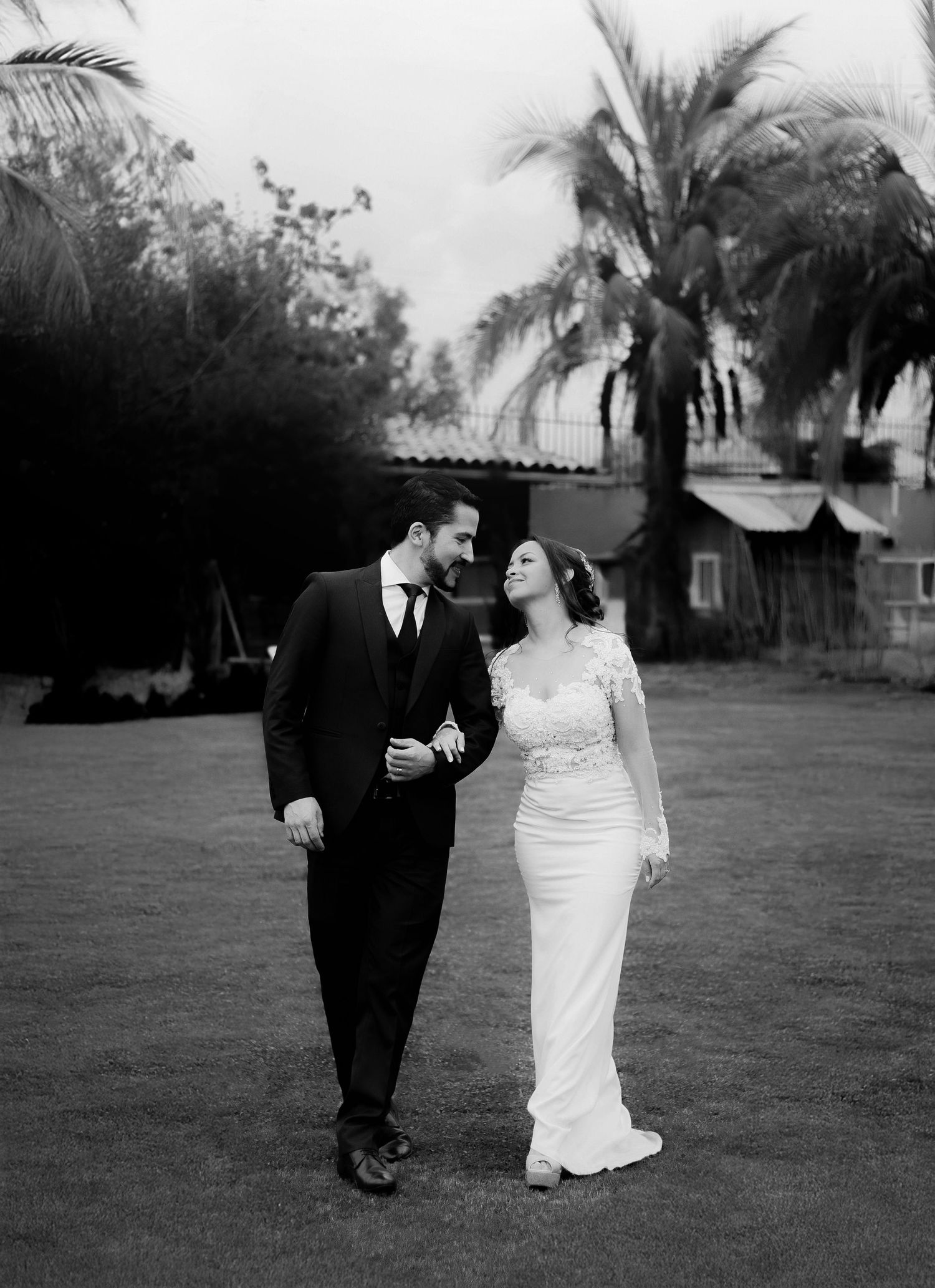 A black and white photo of a couple strolling through a palm tree lined path.