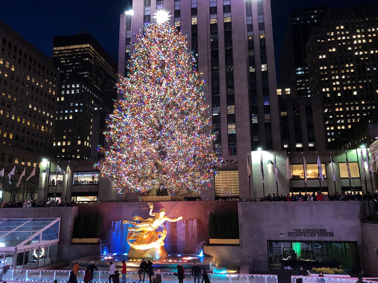 rockefeller tree new york