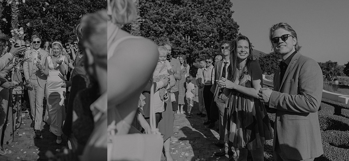 Guests laughing and mingling at intimate Western Cape wedding