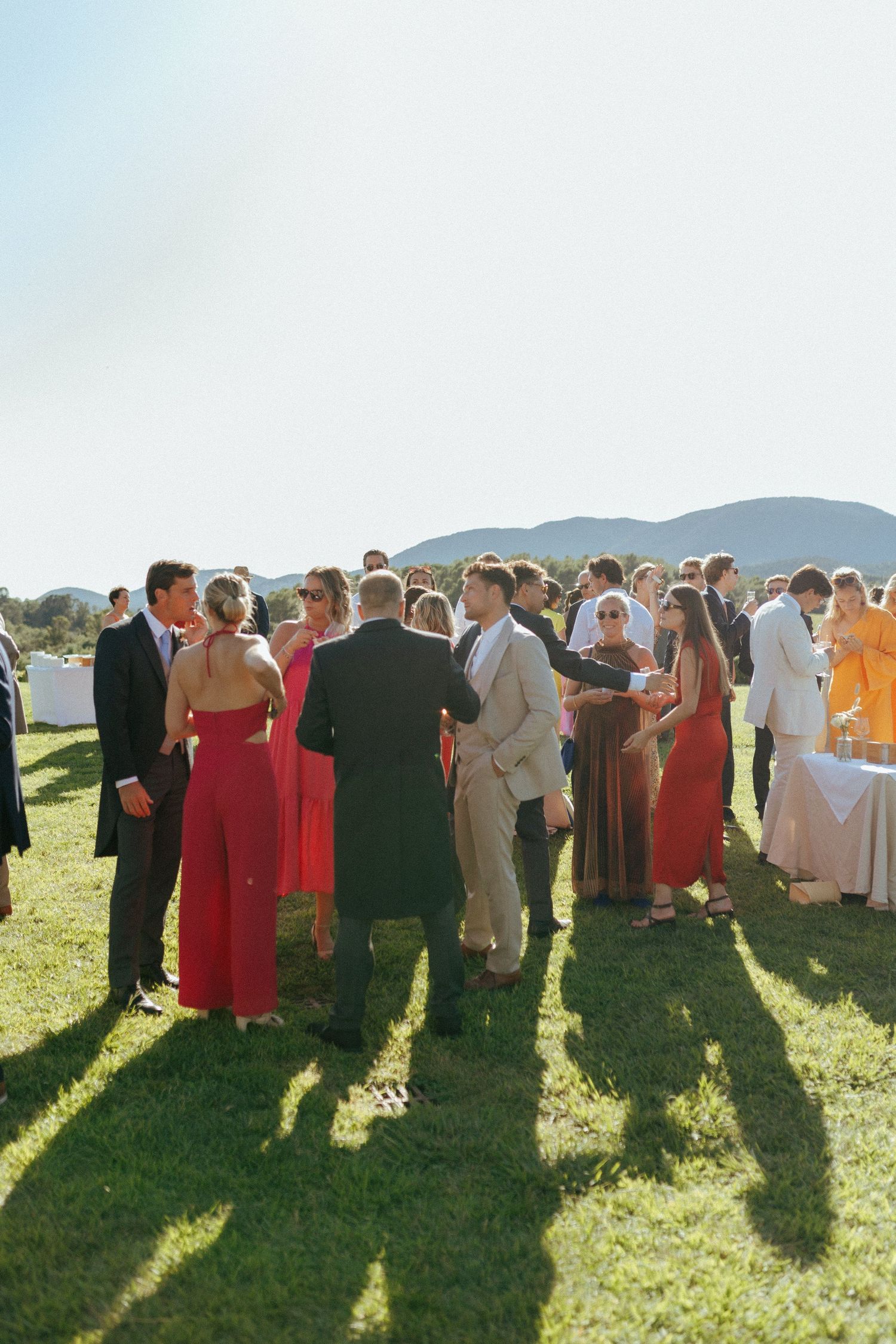 Wedding guests mingling on a sunny lawn with mountains in the background.