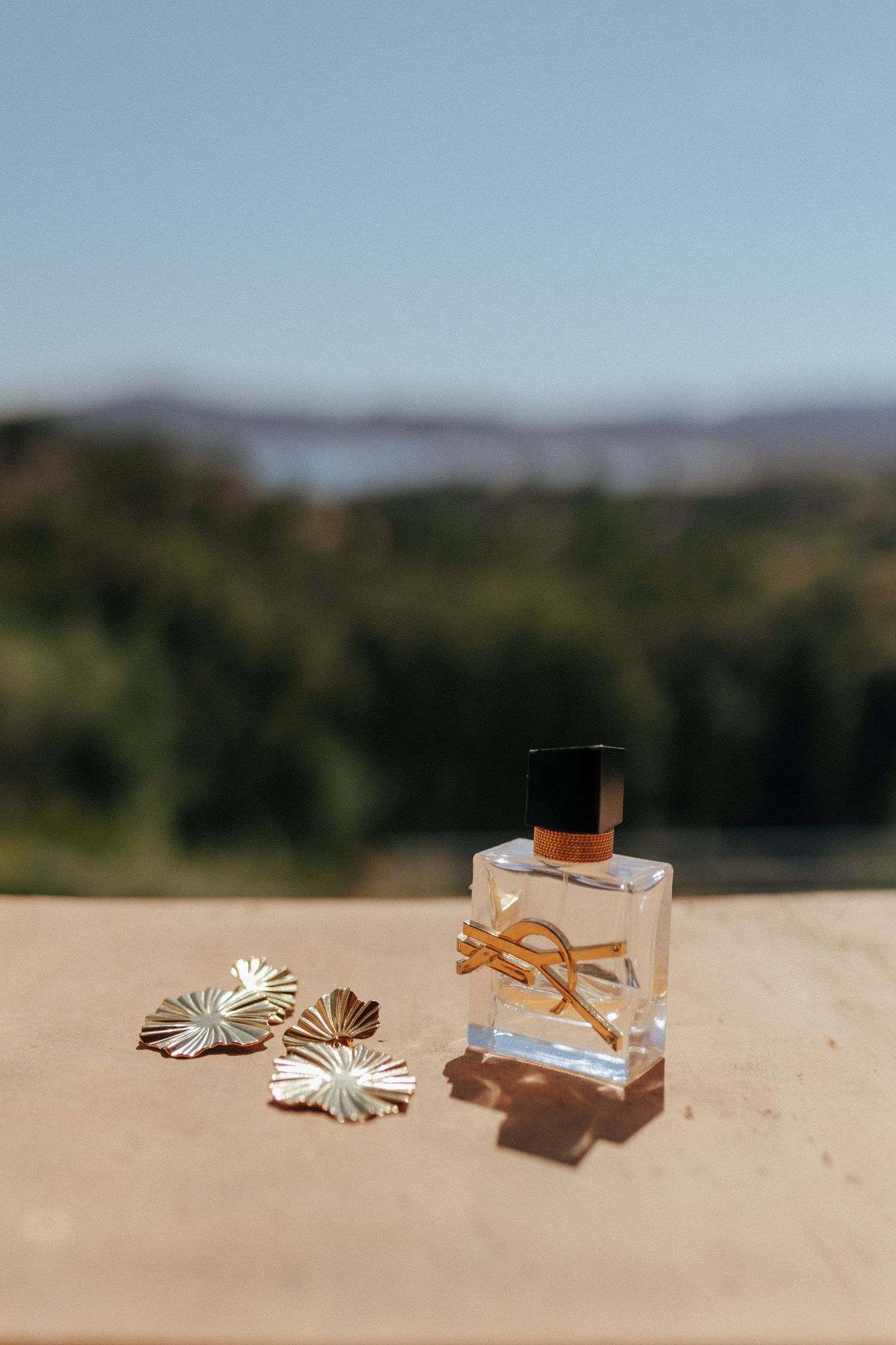 Perfume bottle and silver flower earrings arranged on beige surface with mountain landscape background.