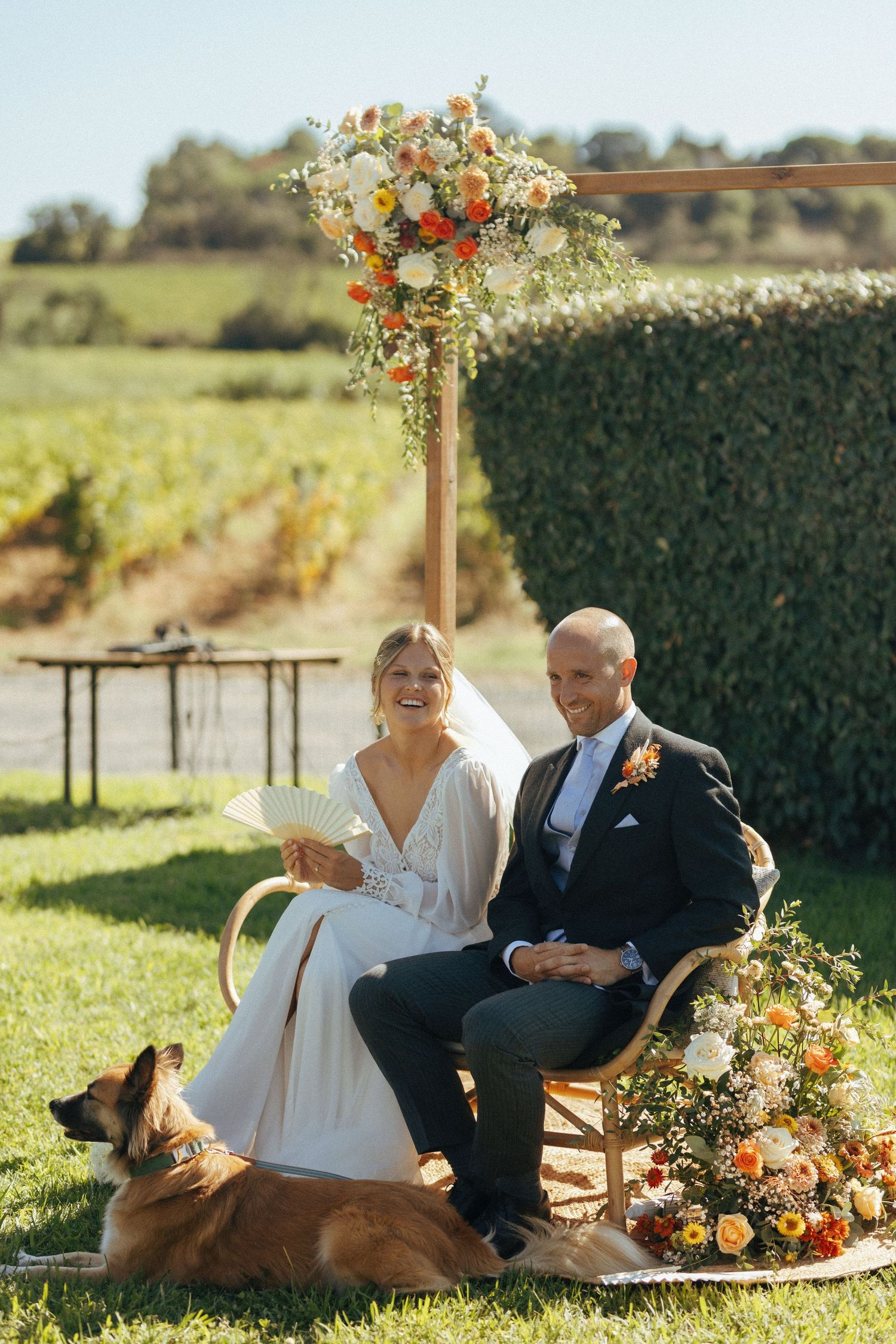 Wedding ceremony in vineyard with couple seated under floral arch and brown dog resting at their feet during sunset.