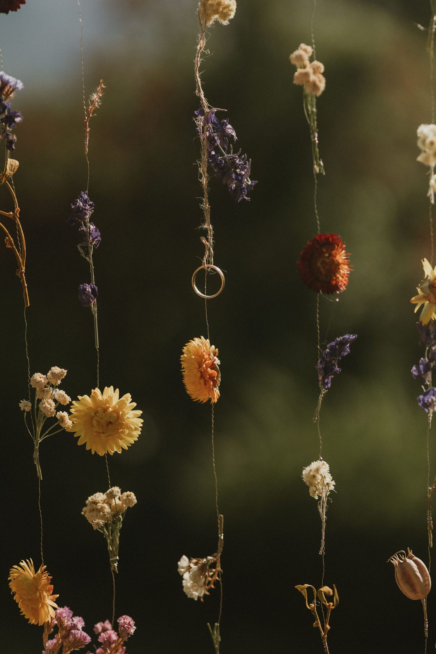 Dried wildflowers and a delicate gold ring hang suspended on strings against a dark blurred background.