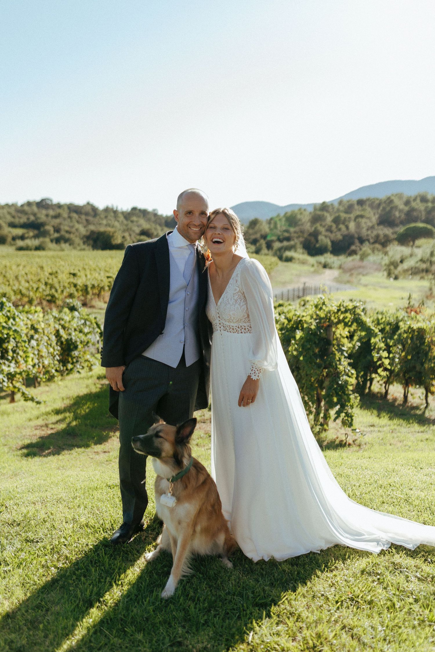 A wedding couple stands with their collie dog in a scenic vineyard on a sunny day.