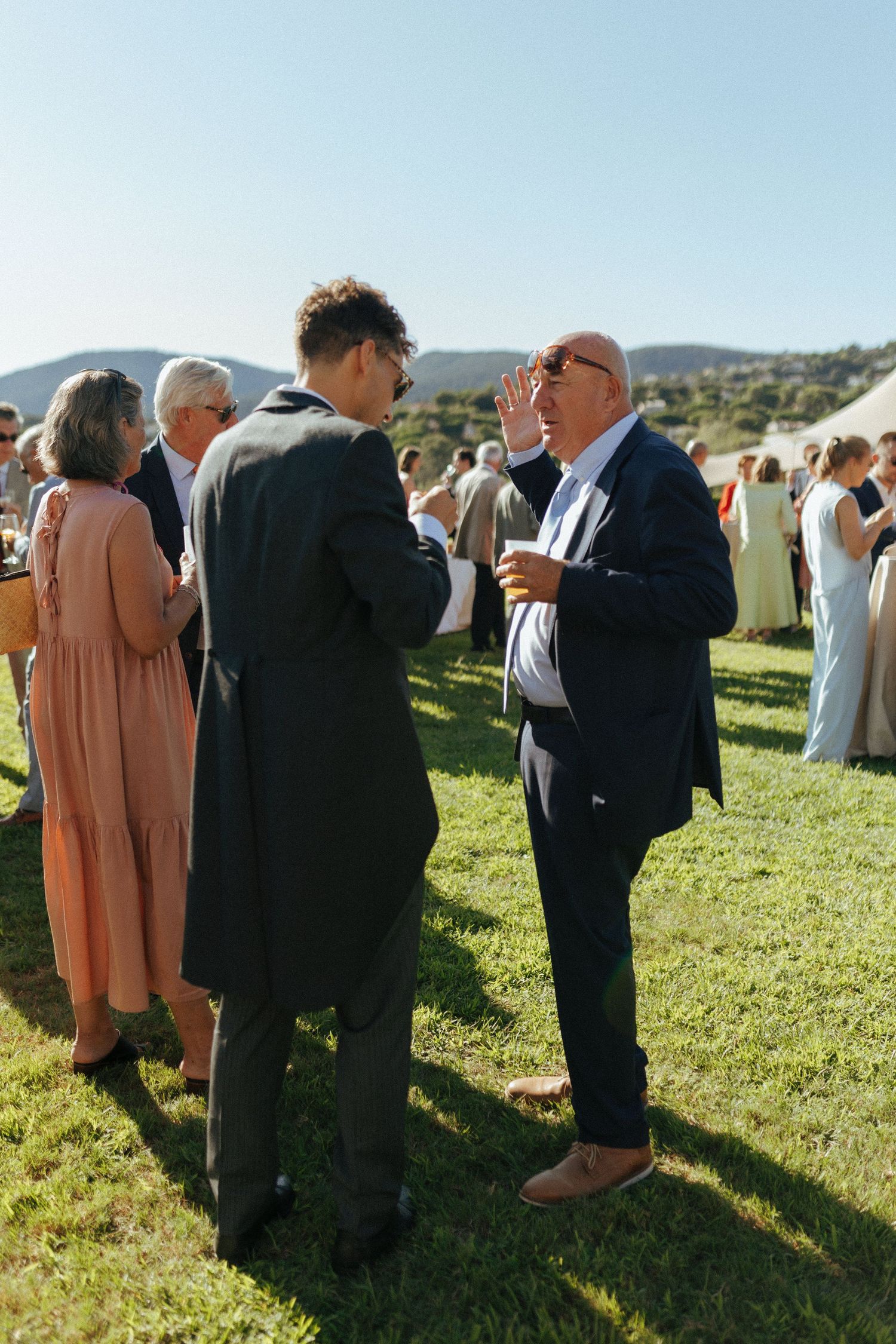 Wedding guests mingling on a grassy lawn during an outdoor reception with mountains visible.