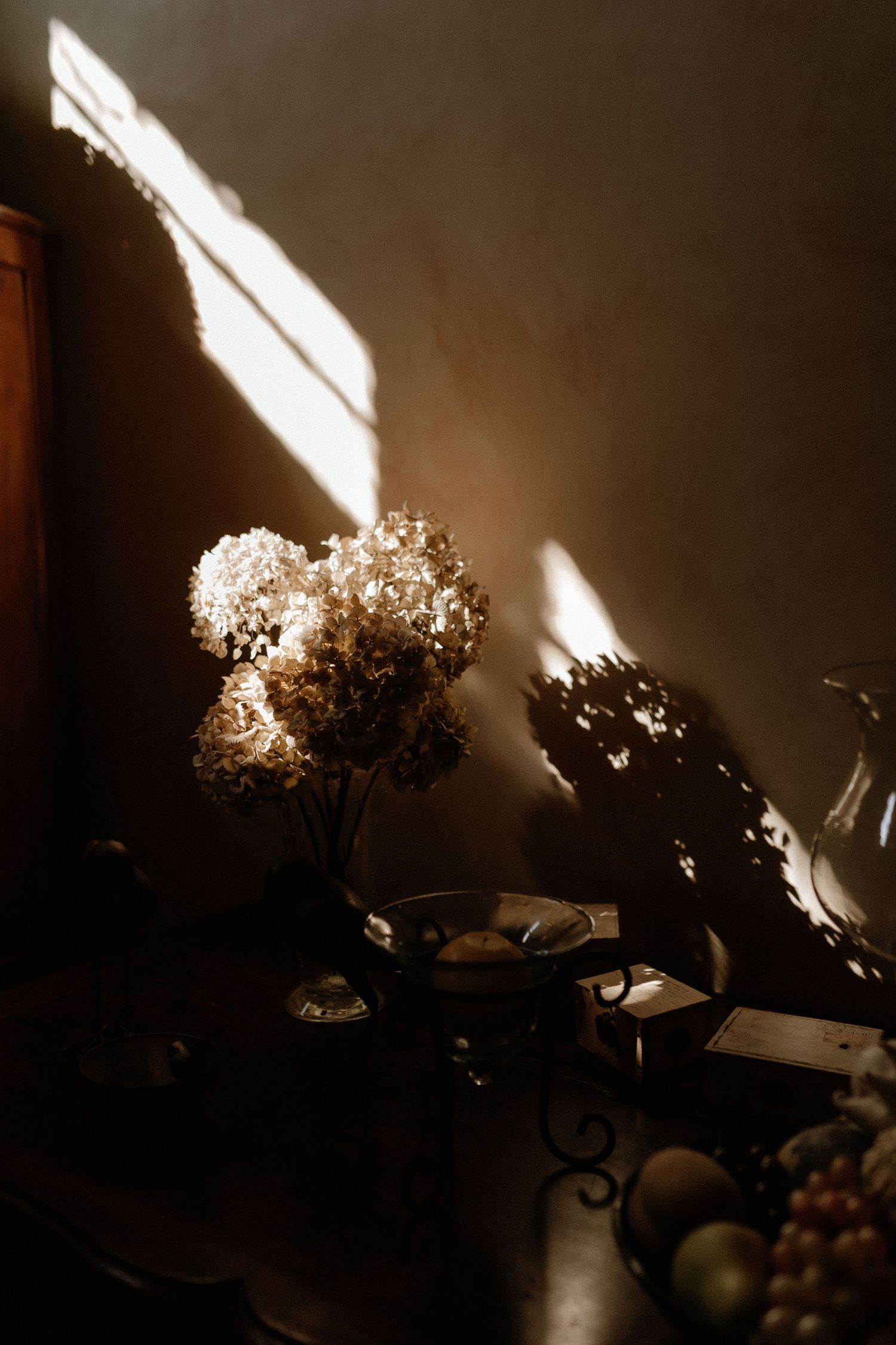Dried hydrangeas in a vase cast dramatic shadows on a wall while sunlight streams through a window.