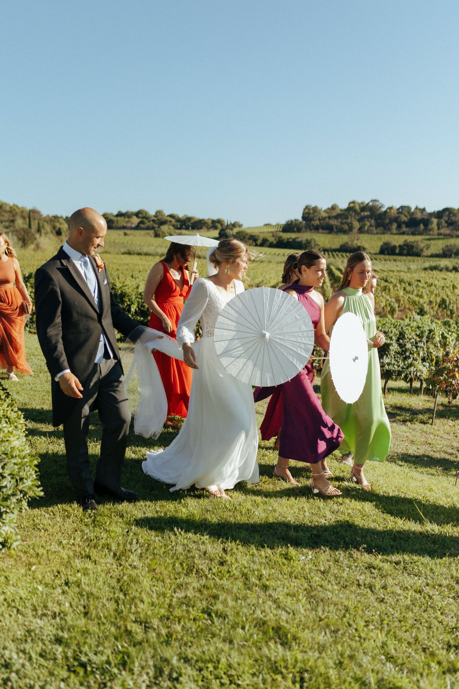 Wedding party walks through vineyard holding white parasols on sunny day.