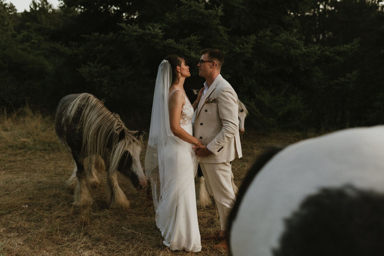 A romantic wedding couple stands next to a majestic draft horse in a rustic outdoor setting during golden hour.