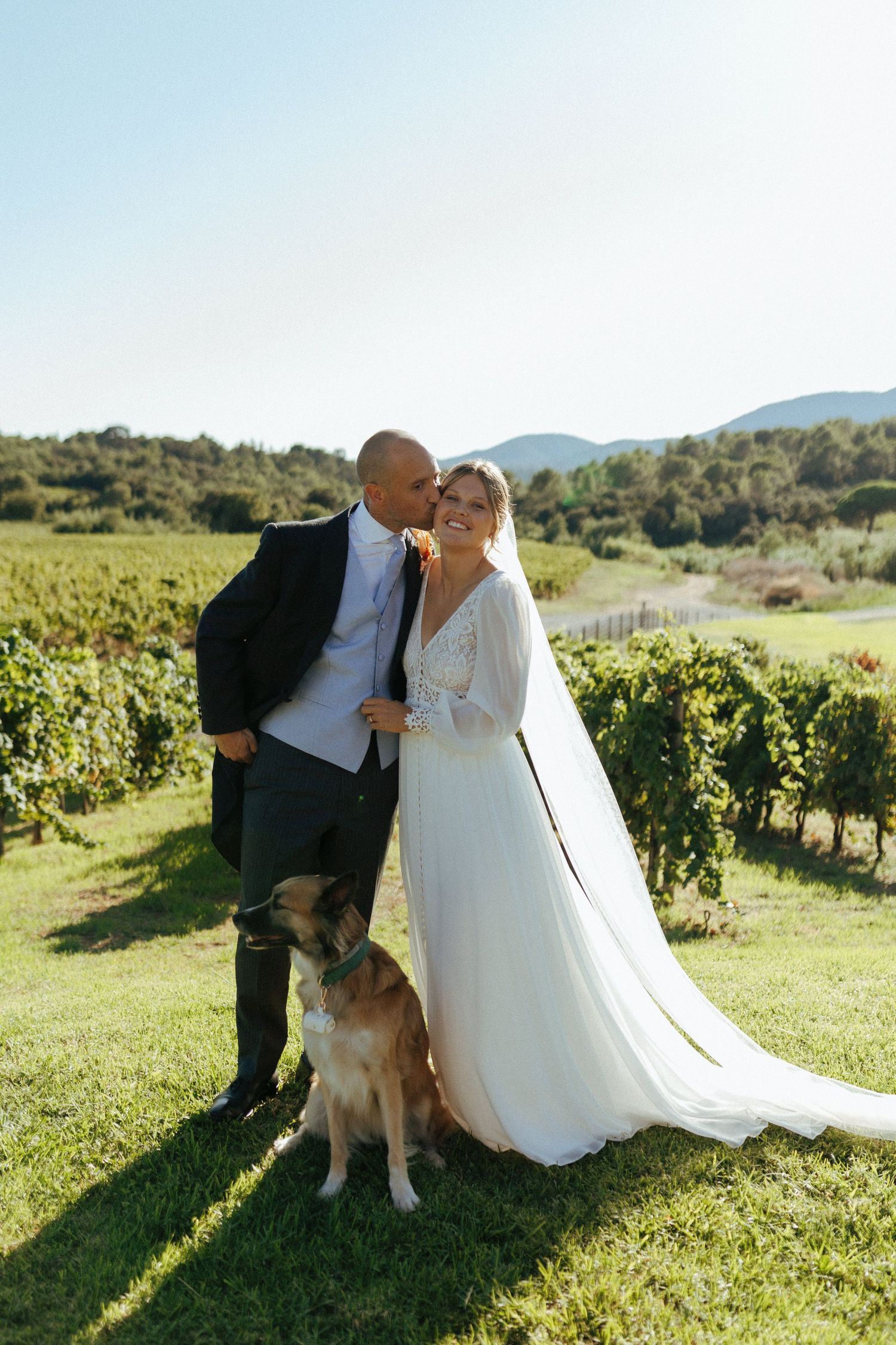 A couple poses with their golden retriever in a scenic vineyard setting on their wedding day.