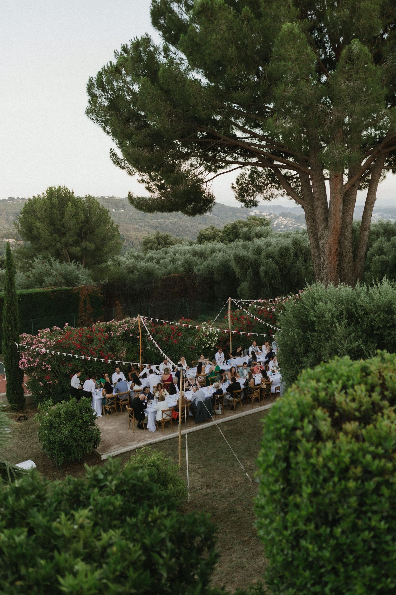 Outdoor dinner party setup with string lights and long tables under tall pine trees in a Mediterranean garden setting.