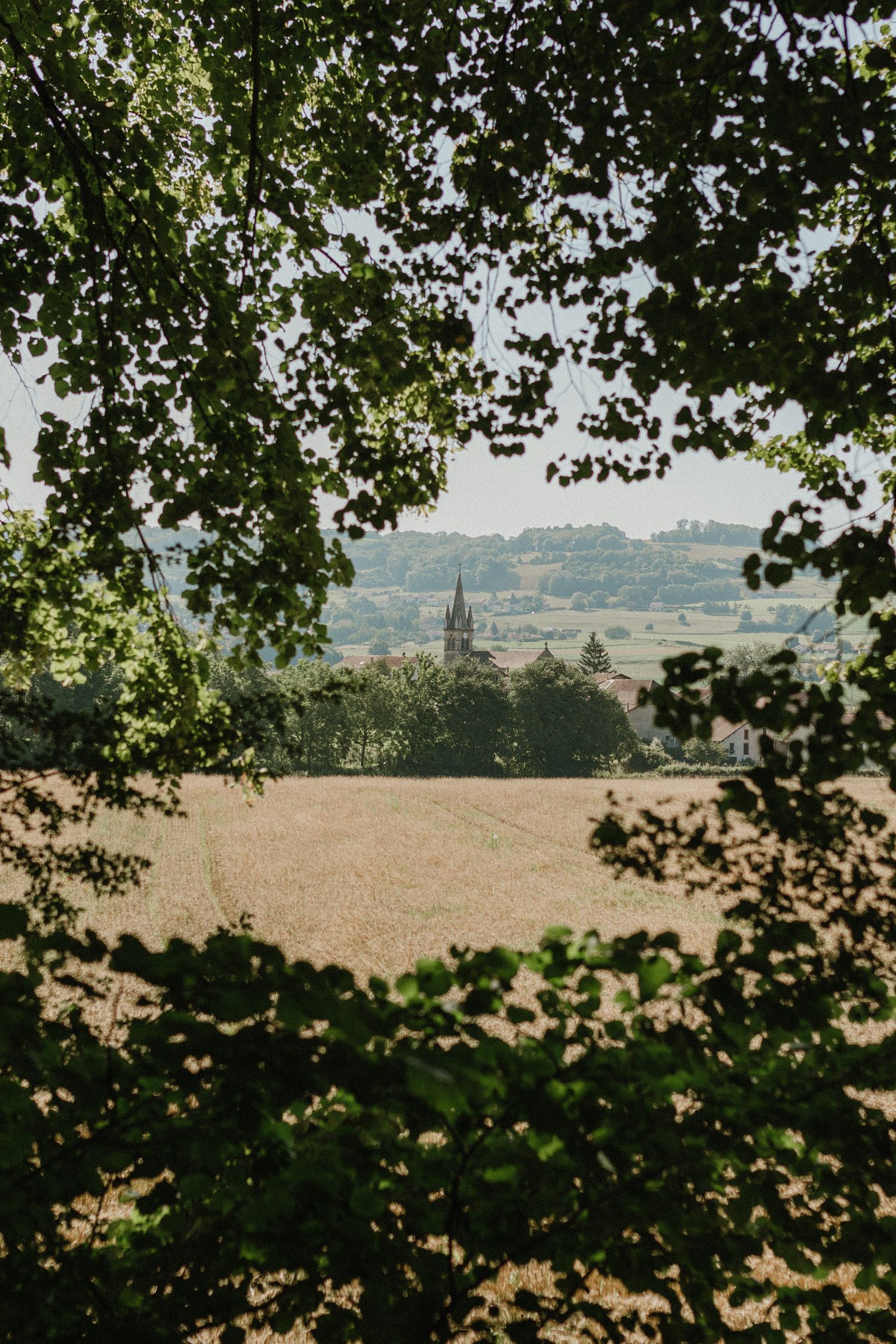 A scenic rural landscape framed by tree branches reveals a church spire and rolling hills in the distance.
