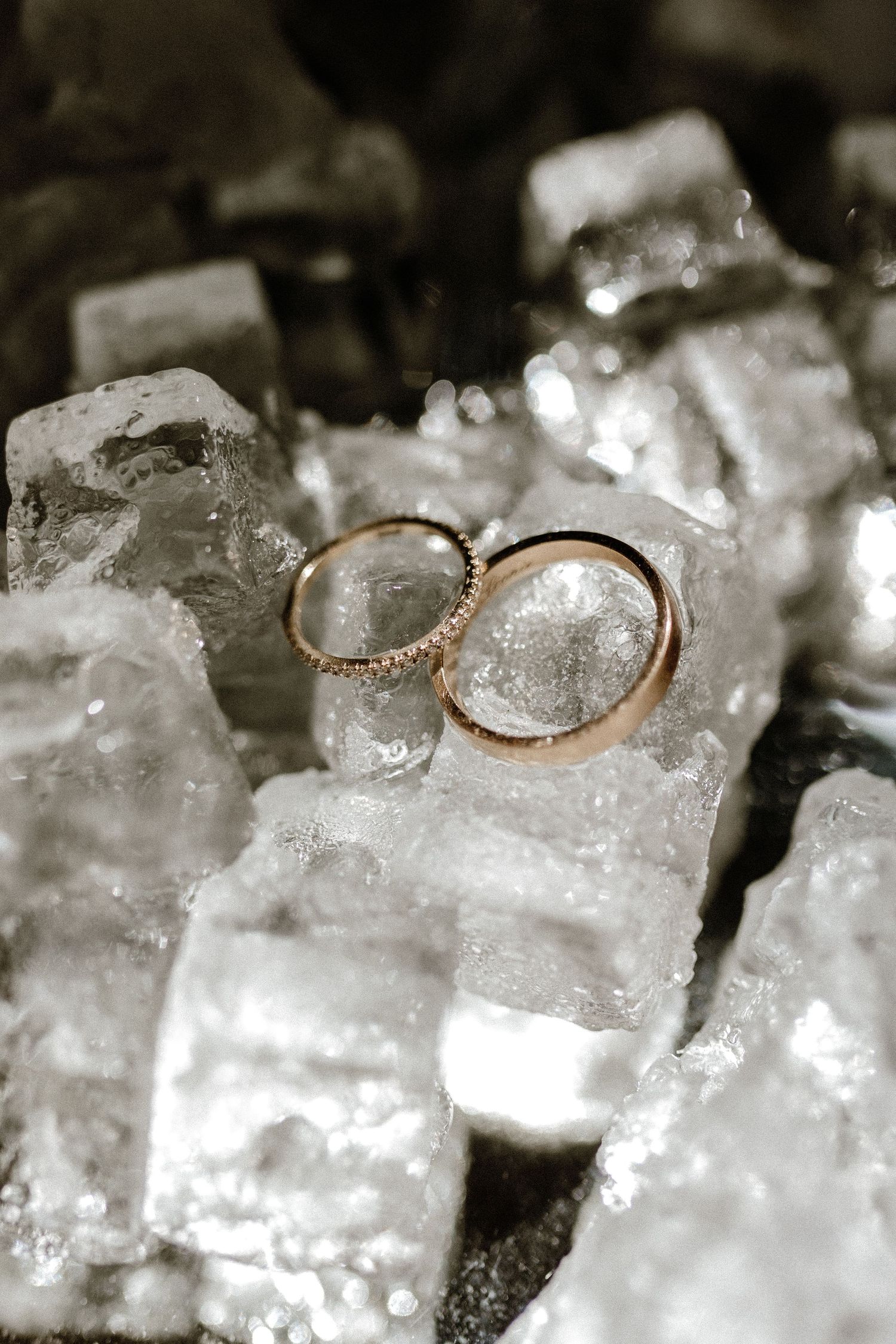 Wedding bands rest on crystalline ice cubes in dramatic lighting.