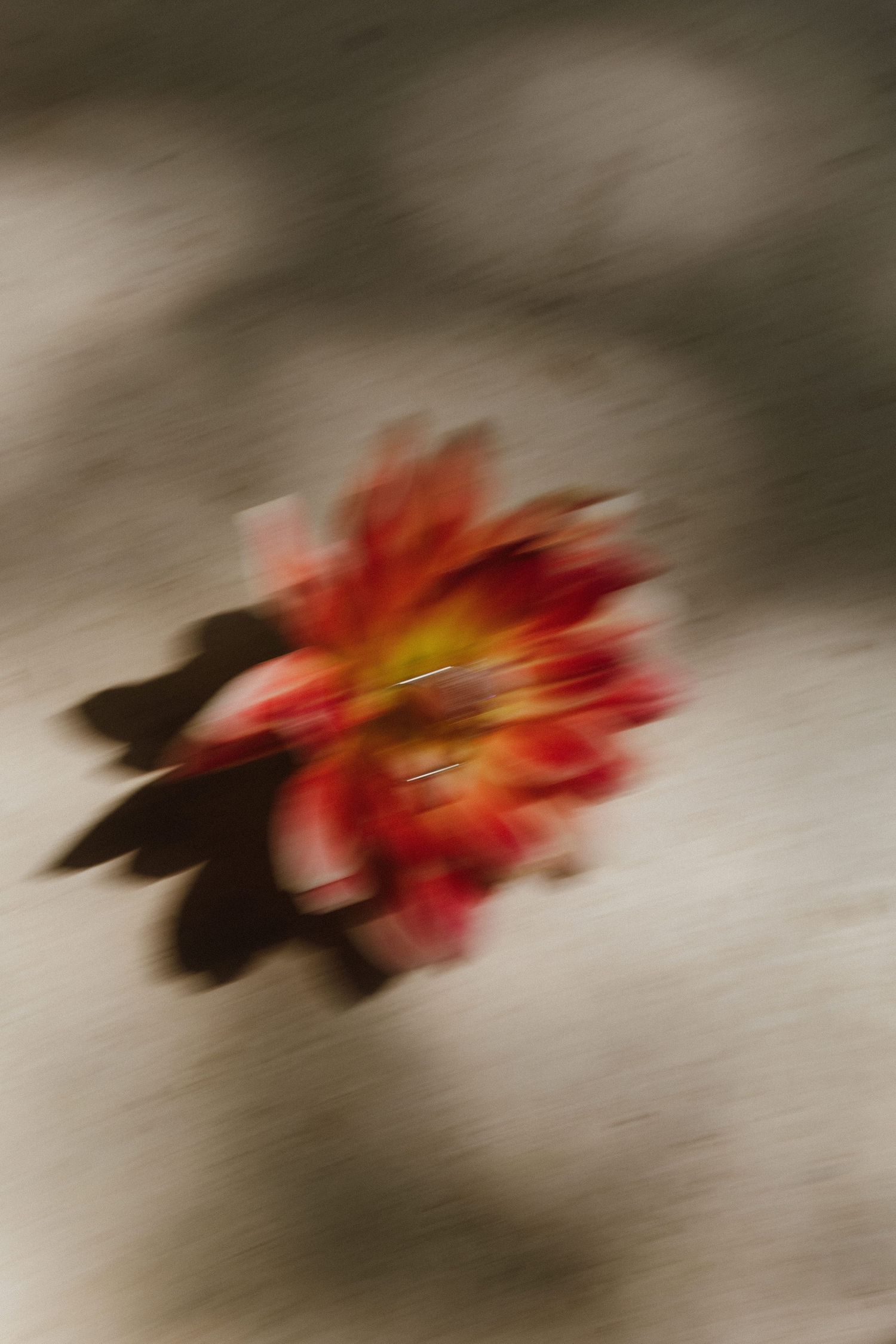 Blurred artistic photograph of a vibrant red and orange flower against a soft, muted background.