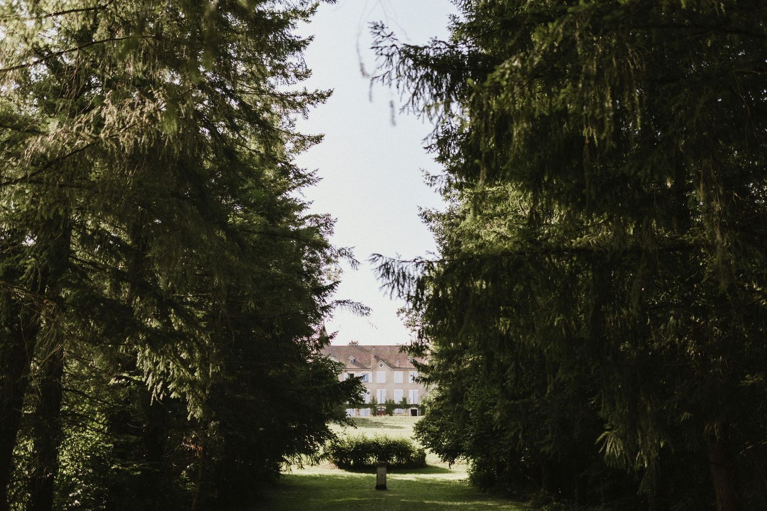 A white mansion peeking through tall evergreen trees along a grassy path with natural sunlight filtering through.